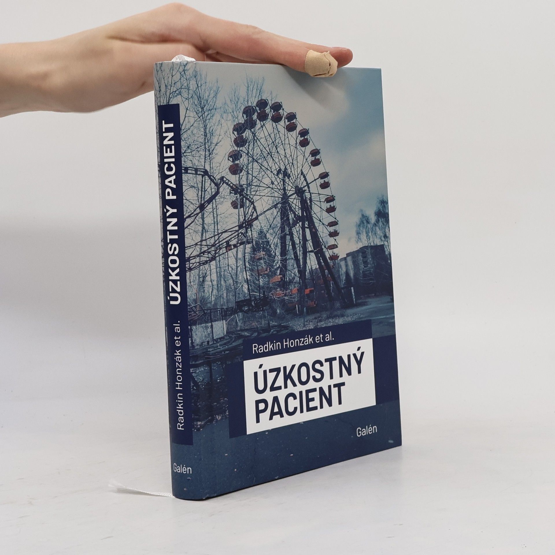Radkin Honzák Úzkostný pacient