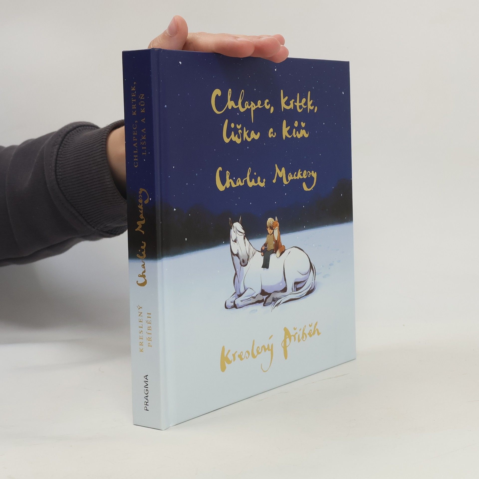Charlie Mackesy Chlapec, krtek, liška a kůň : kreslený příběh