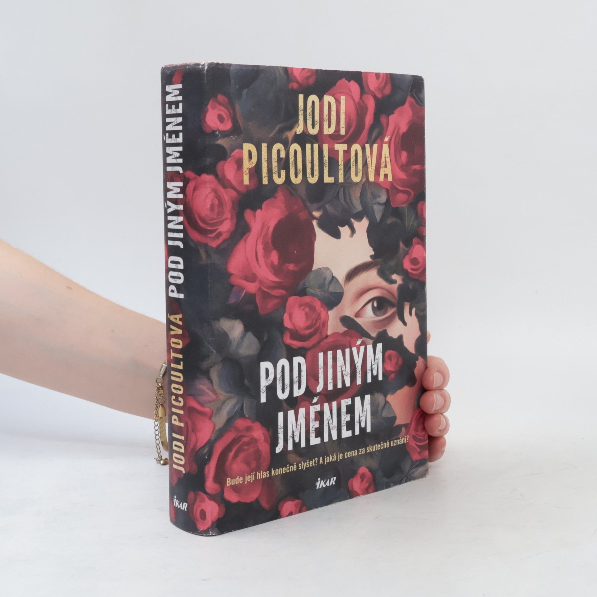 Jodi Picoult Pod jiným jménem