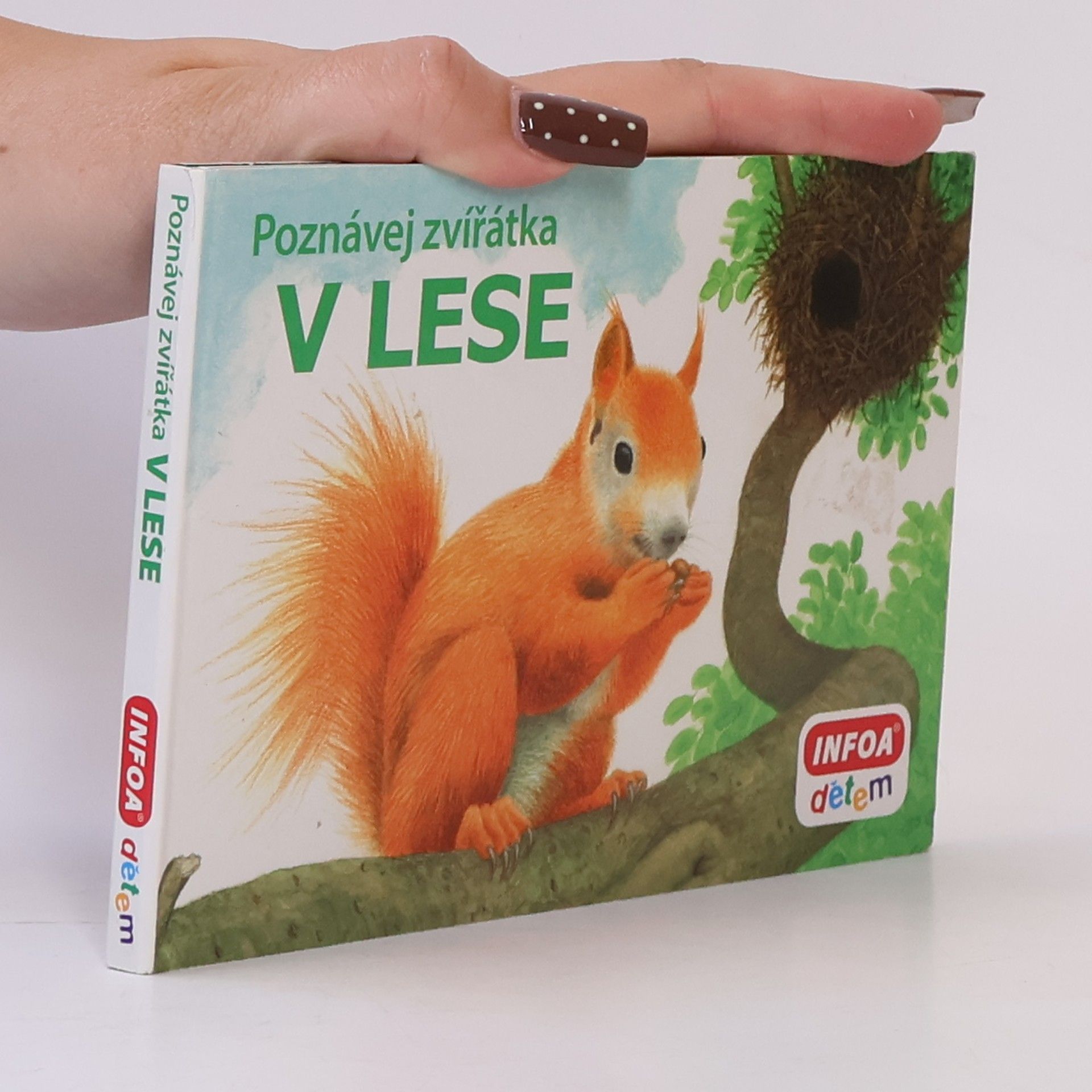 Kolektiv autorů Poznávej zvířátka V lese