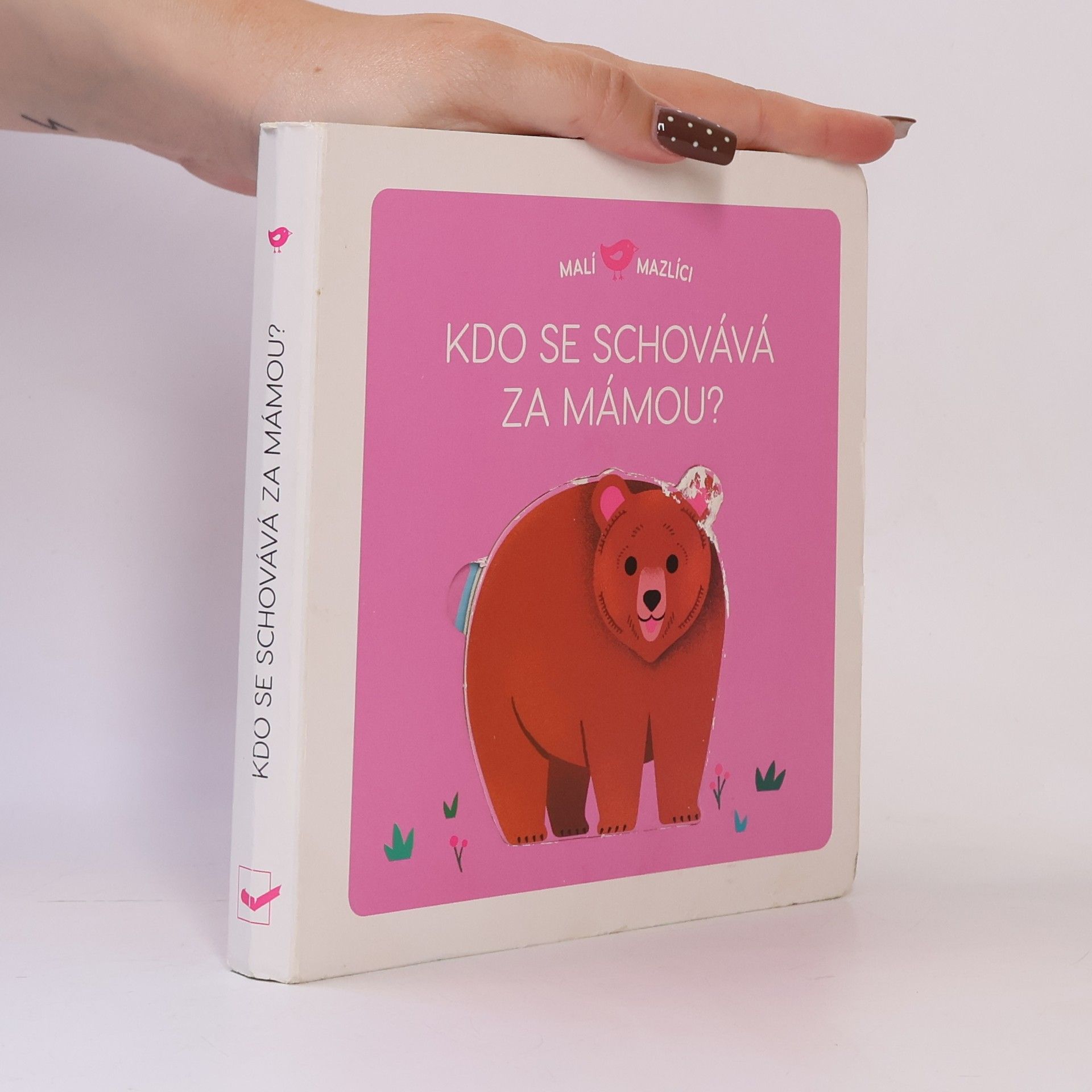 Lucie Brunellière Kdo se schovává za mámou?