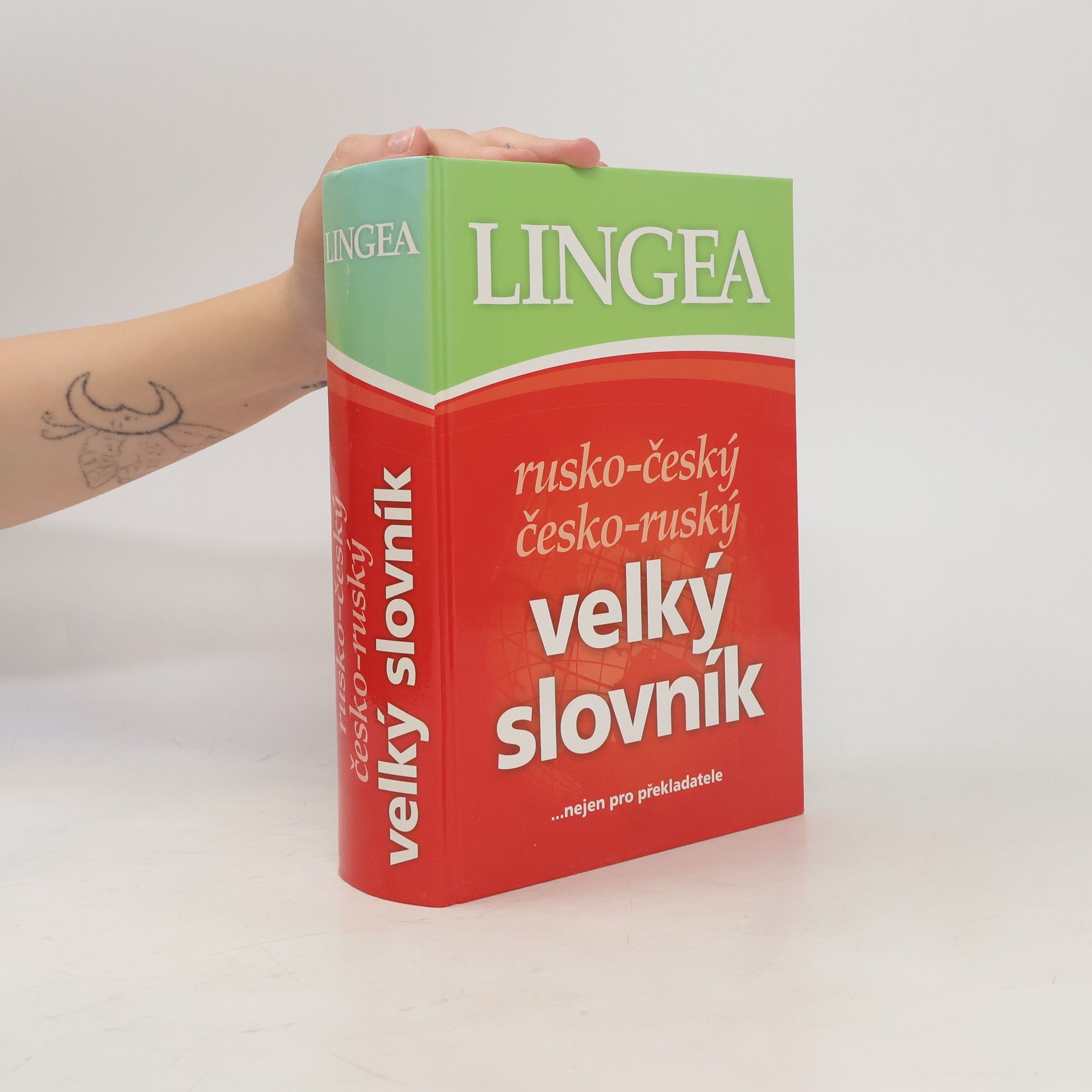 Autorenkollektiv Rusko-český, česko-ruský velký slovník