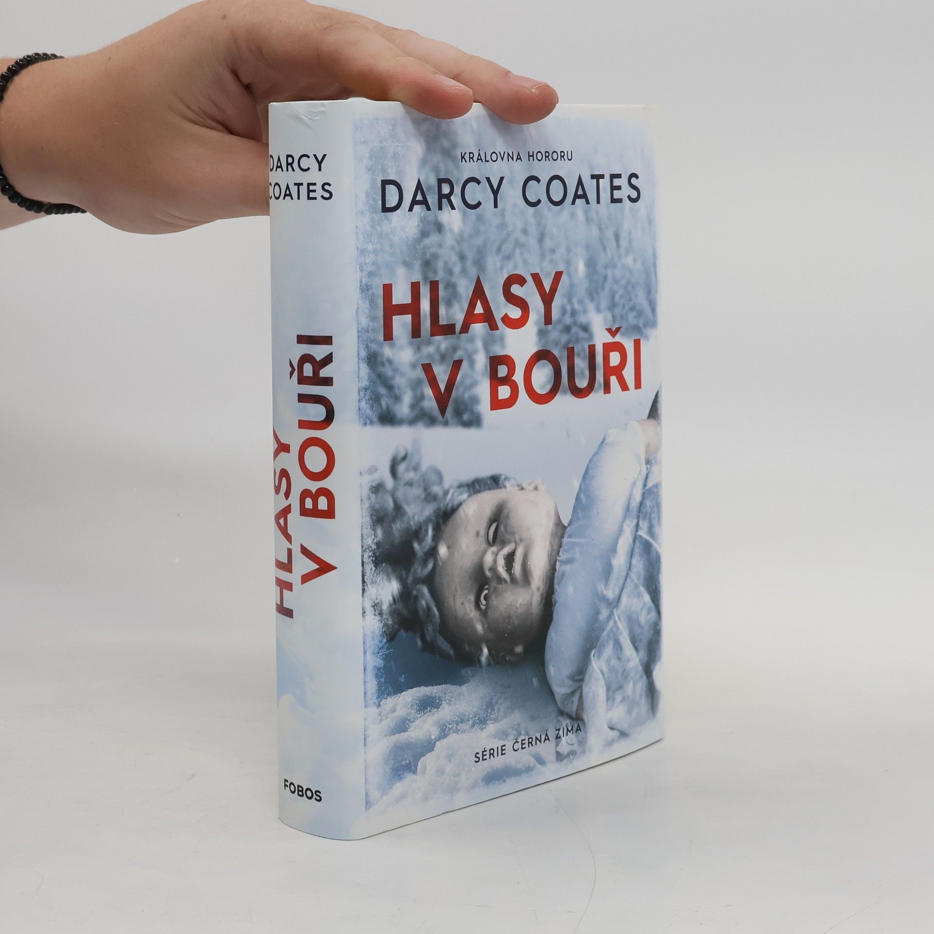 Darcy Coates Hlasy v bouři