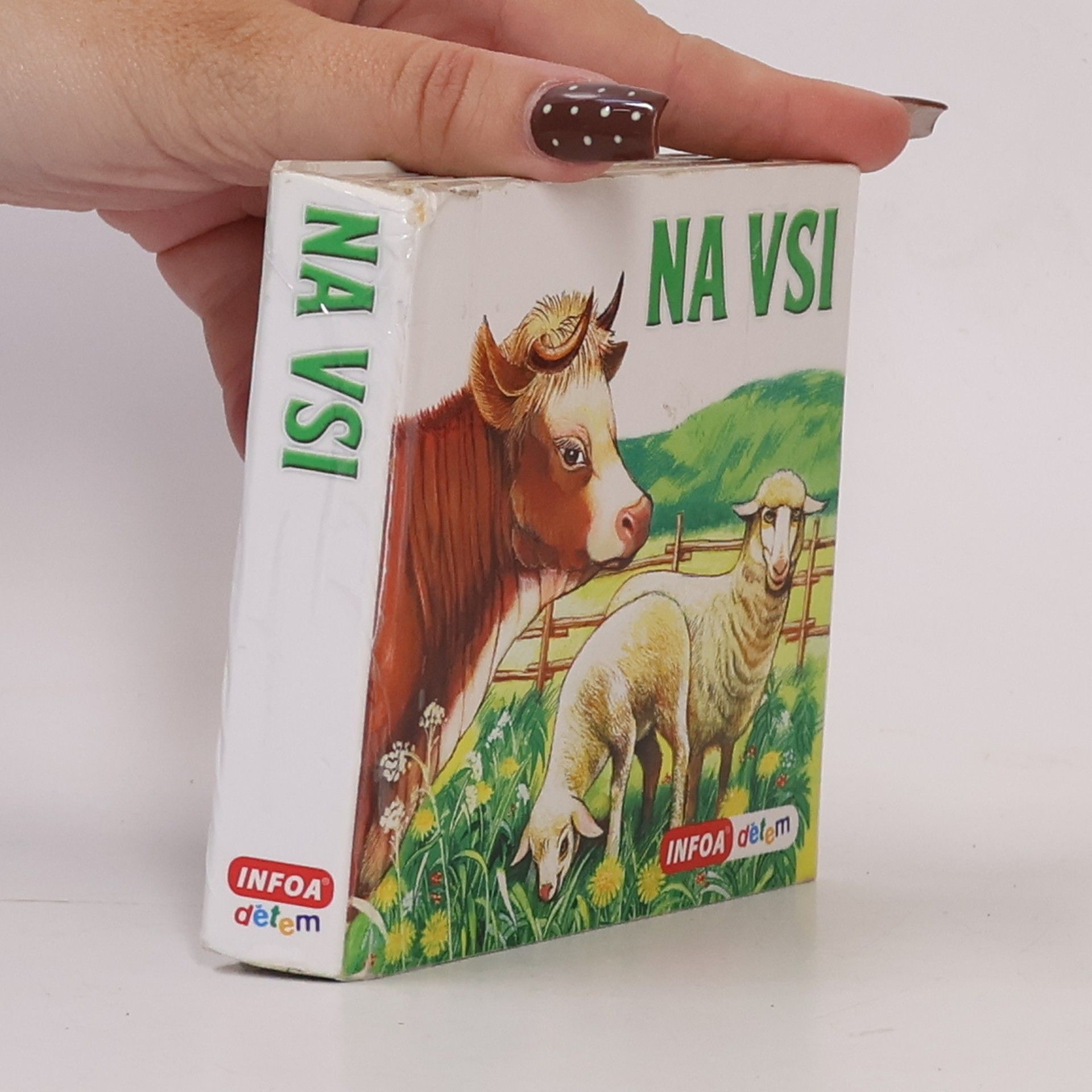 Kolektiv autorů Na vsi