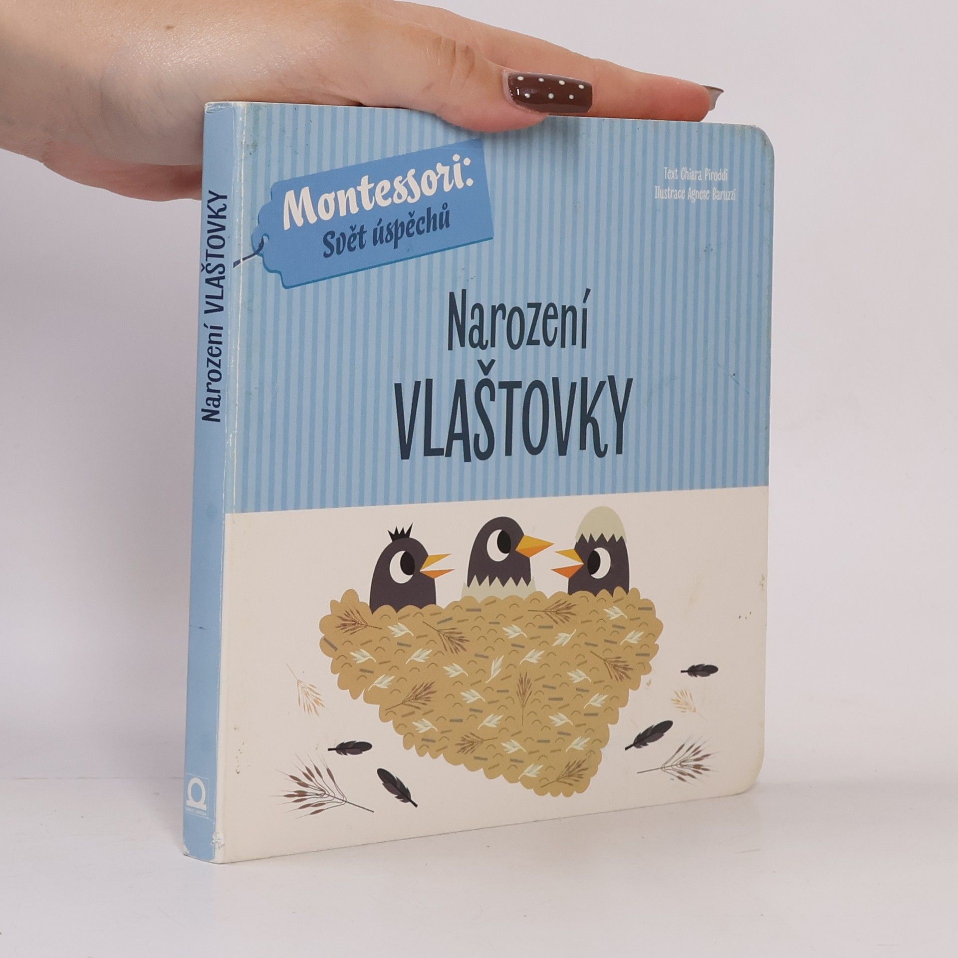 Chiara Piroddi Narození vlaštovky