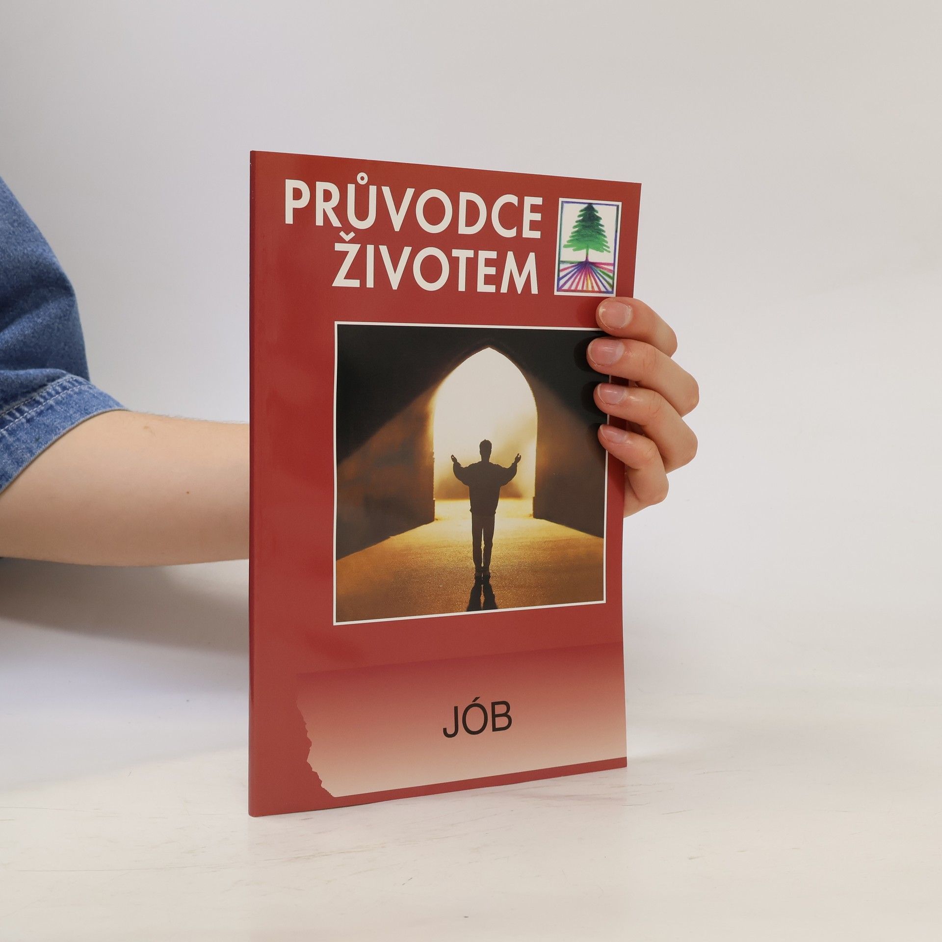 Autorenkollektiv Jób