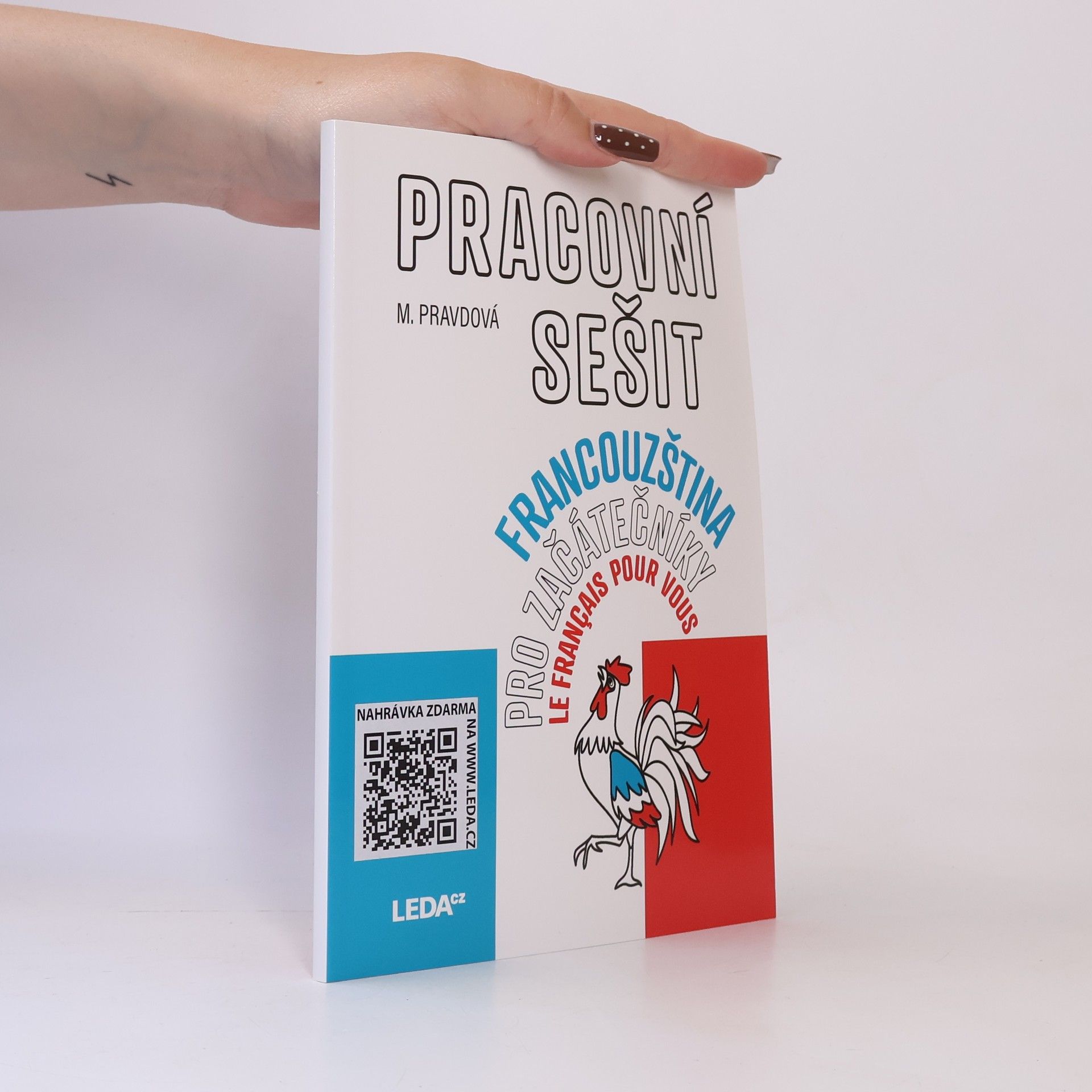 Marie Pravdová Francouzština pro začátečníky. Pracovní sešit