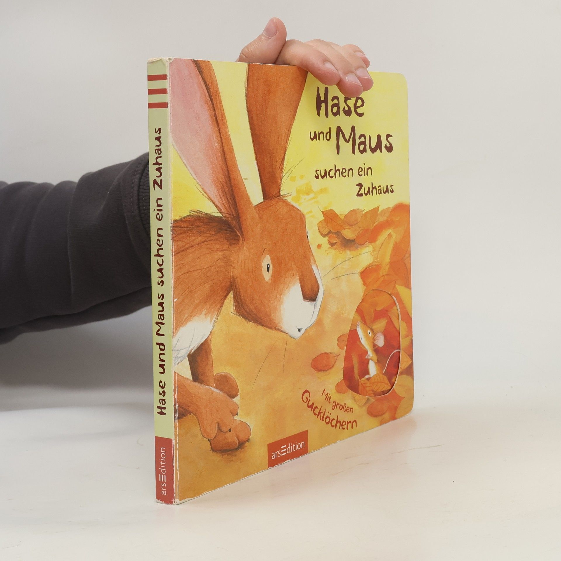 Rosalinda Kightley Hase und Maus suchen ein Zuhaus