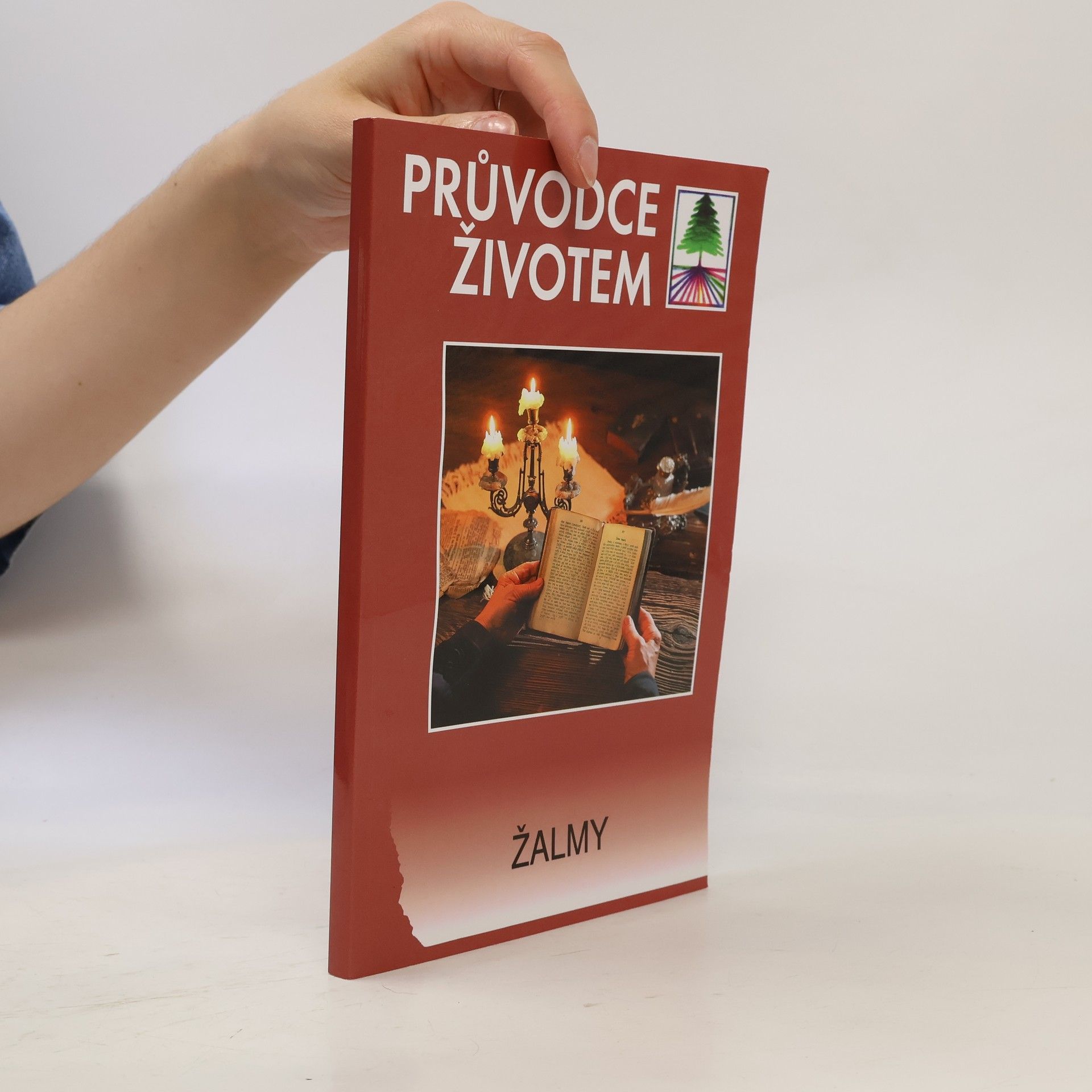 Autorenkollektiv Průvodce životem