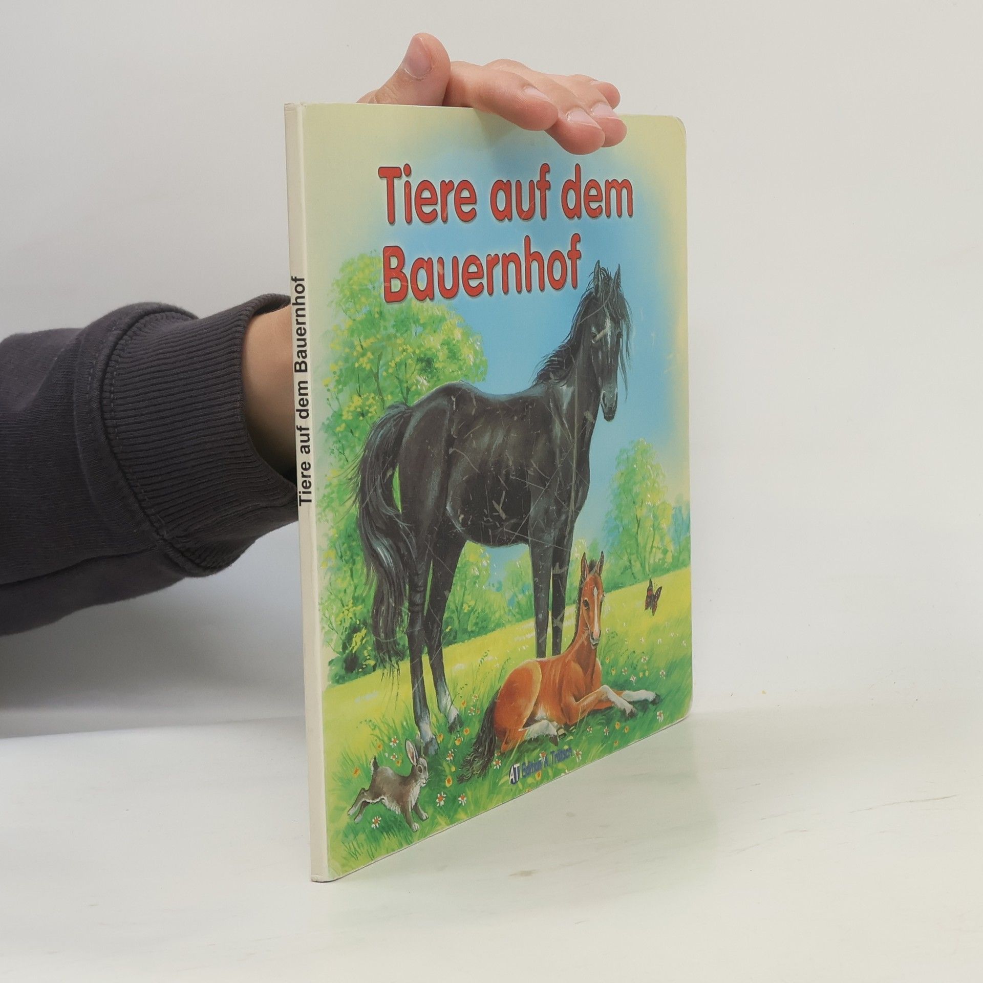 Autorenkollektiv Tiere auf dem Bauernhof