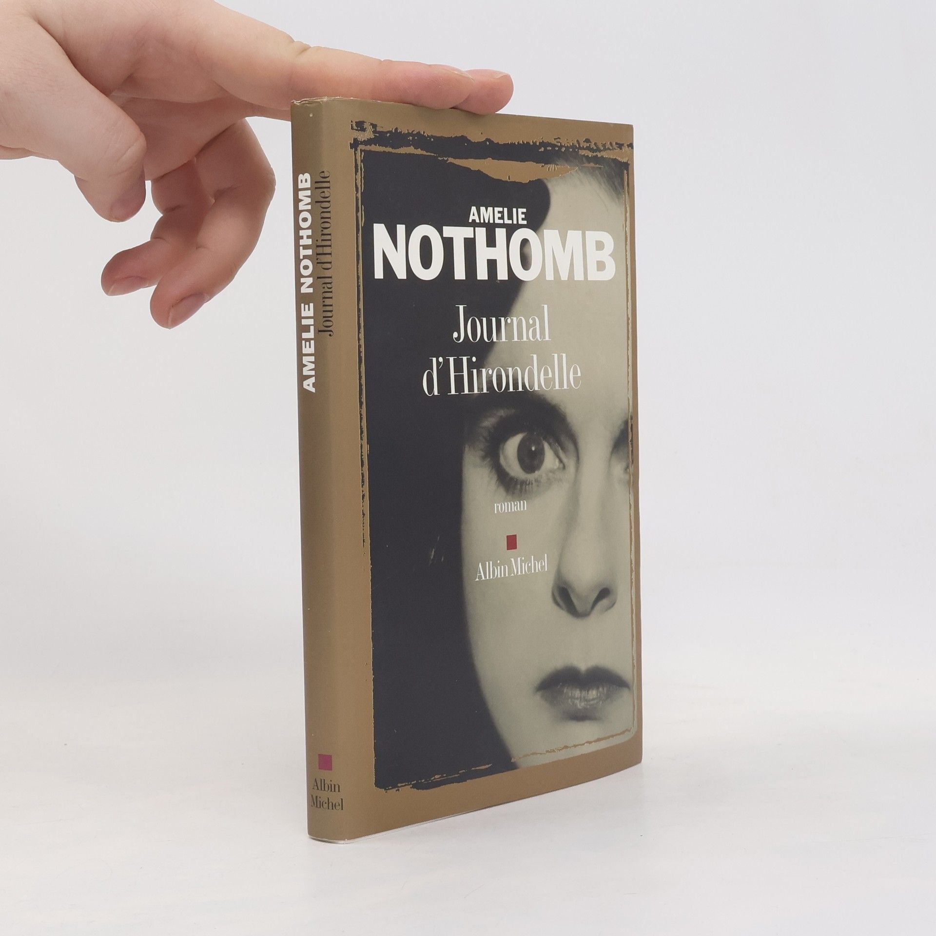 Amélie Nothomb Journal d'Hirondelle