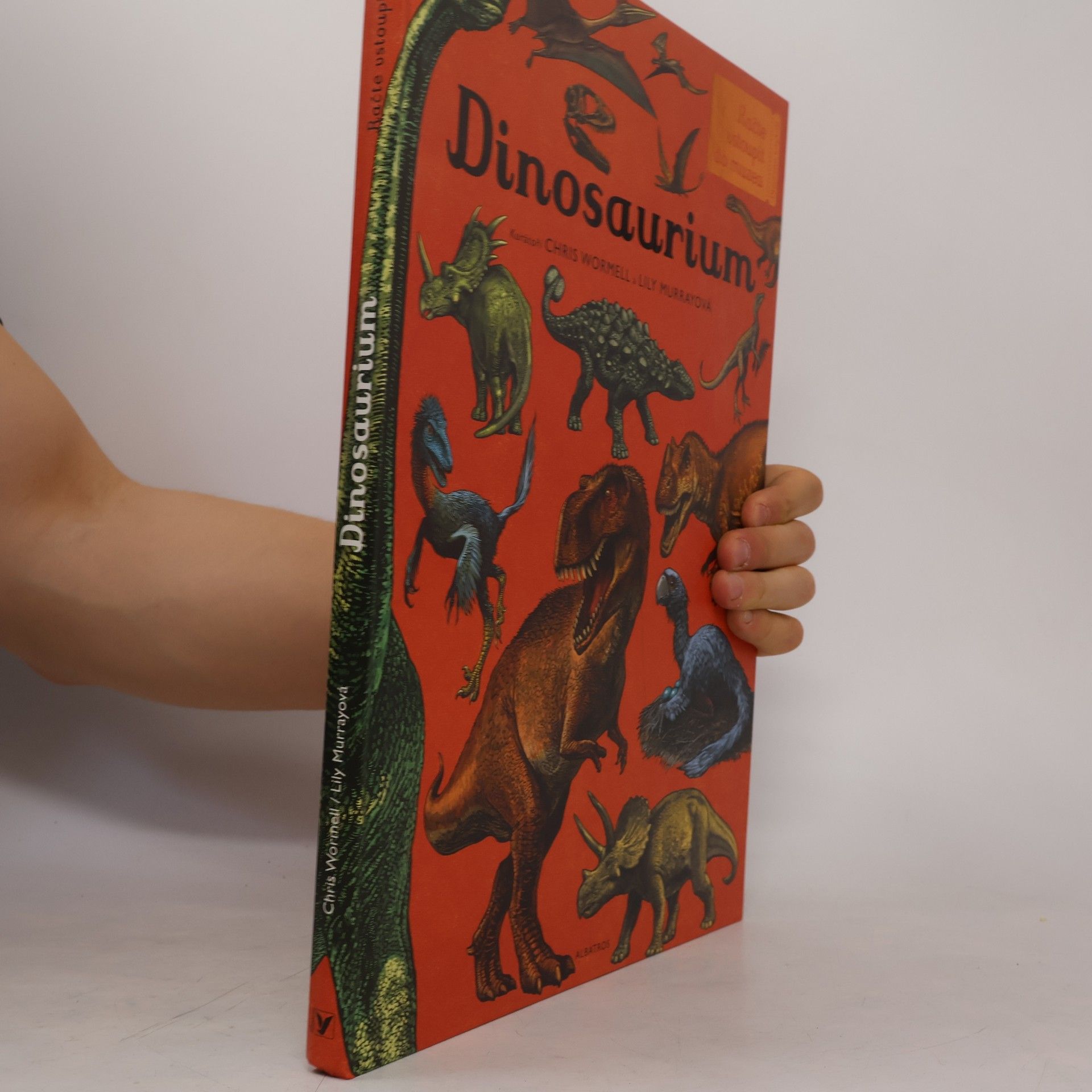 Lily Murray Dinosaurium