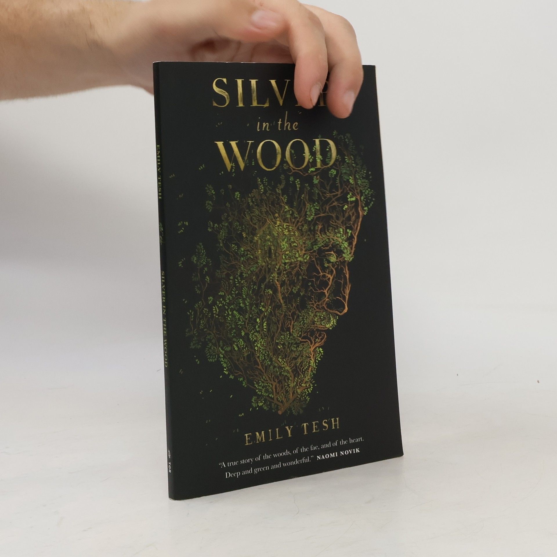 Emily Tesh Silver in the wood