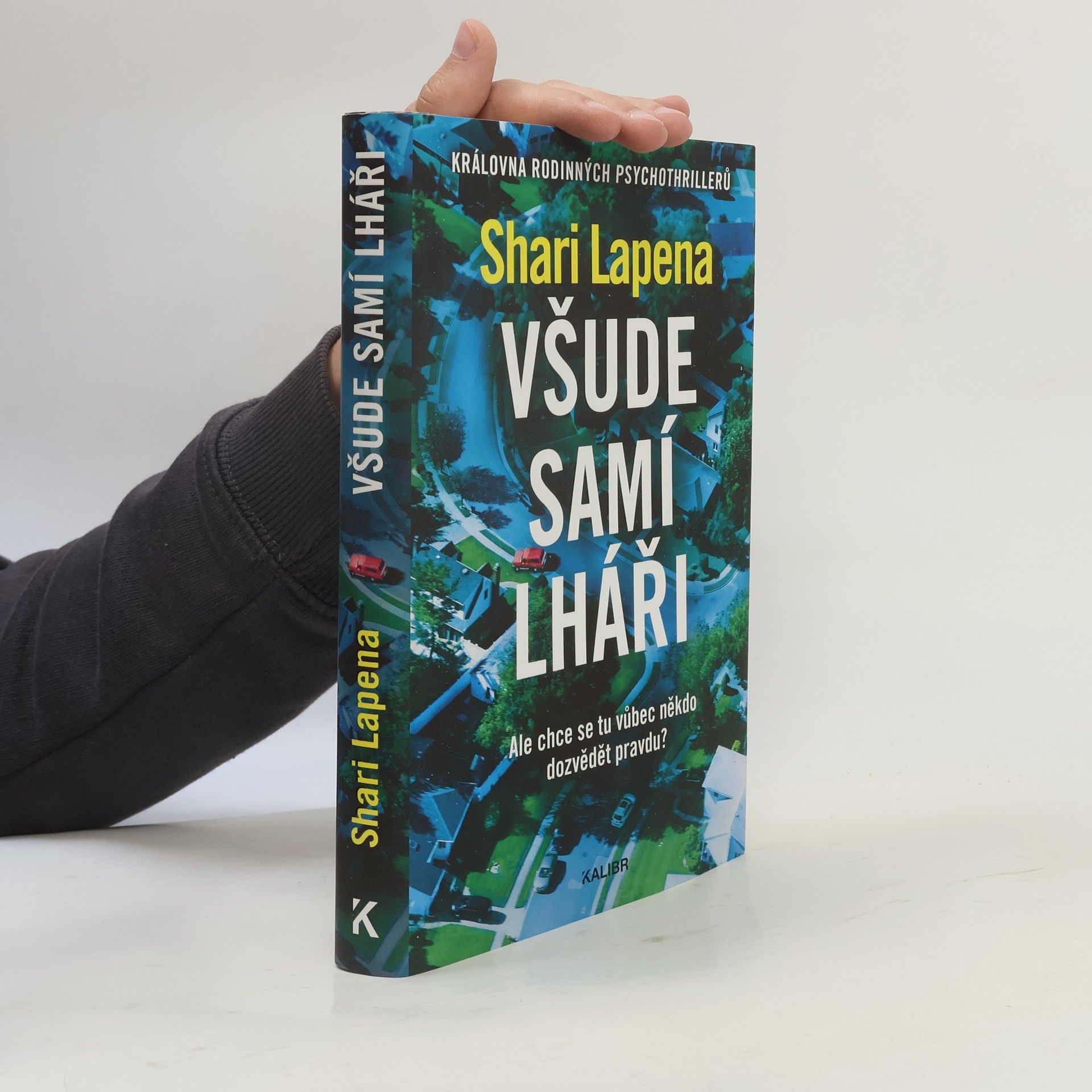 Shari Lapena Všude samí lháři