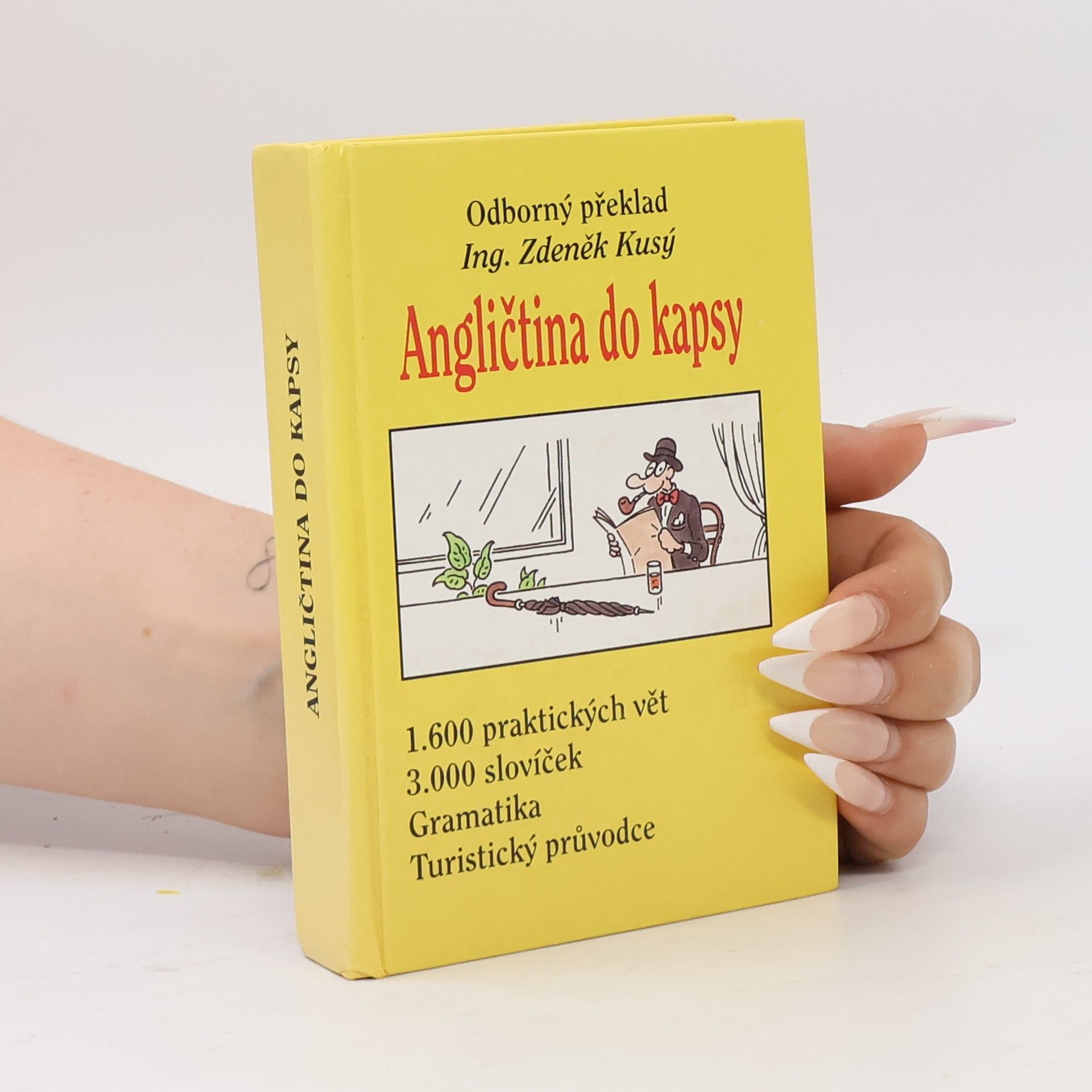 Tomáš Modlík Angličtina do kapsy