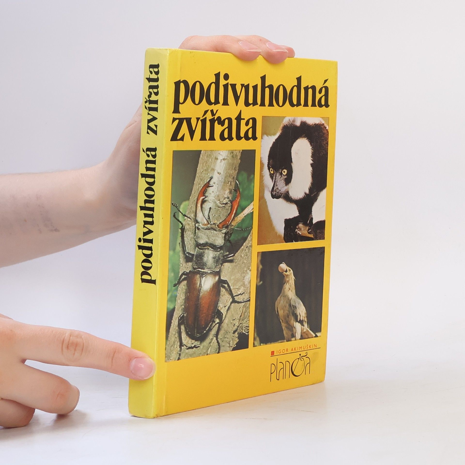 Igor Akimuškin Podivuhodná zvířata