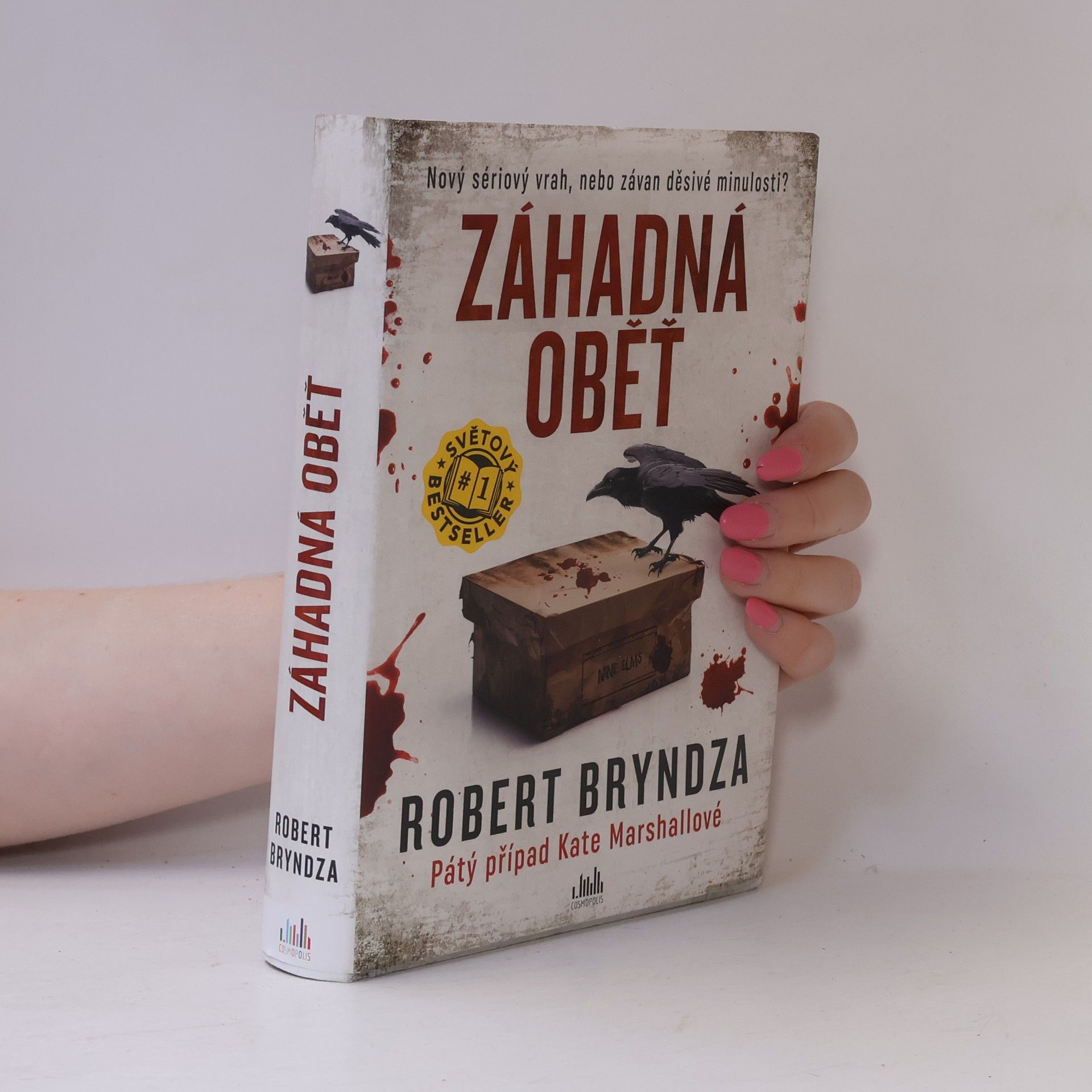 Robert Bryndza Záhadná oběť