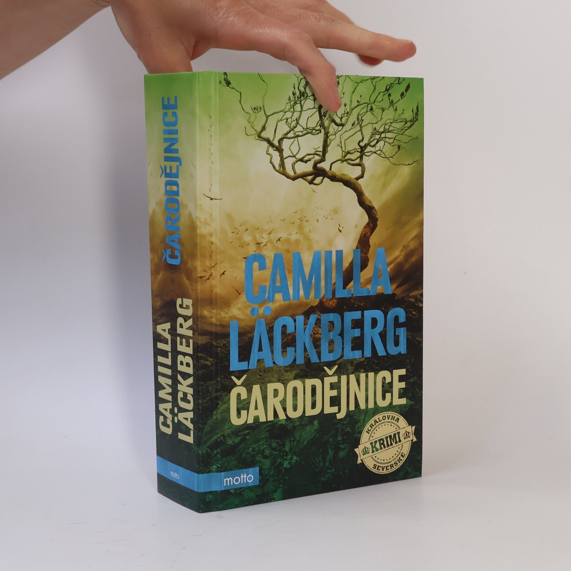 Camilla Läckberg Čarodějnice
