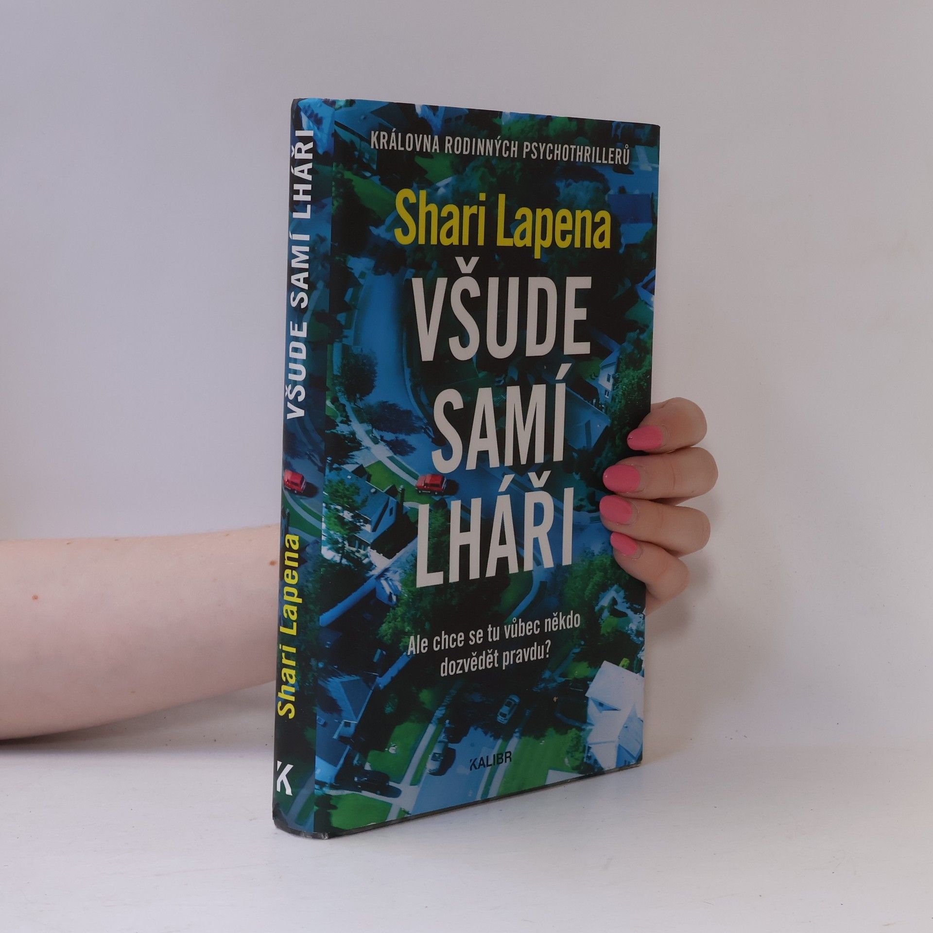 Shari Lapena Všude samí lháři