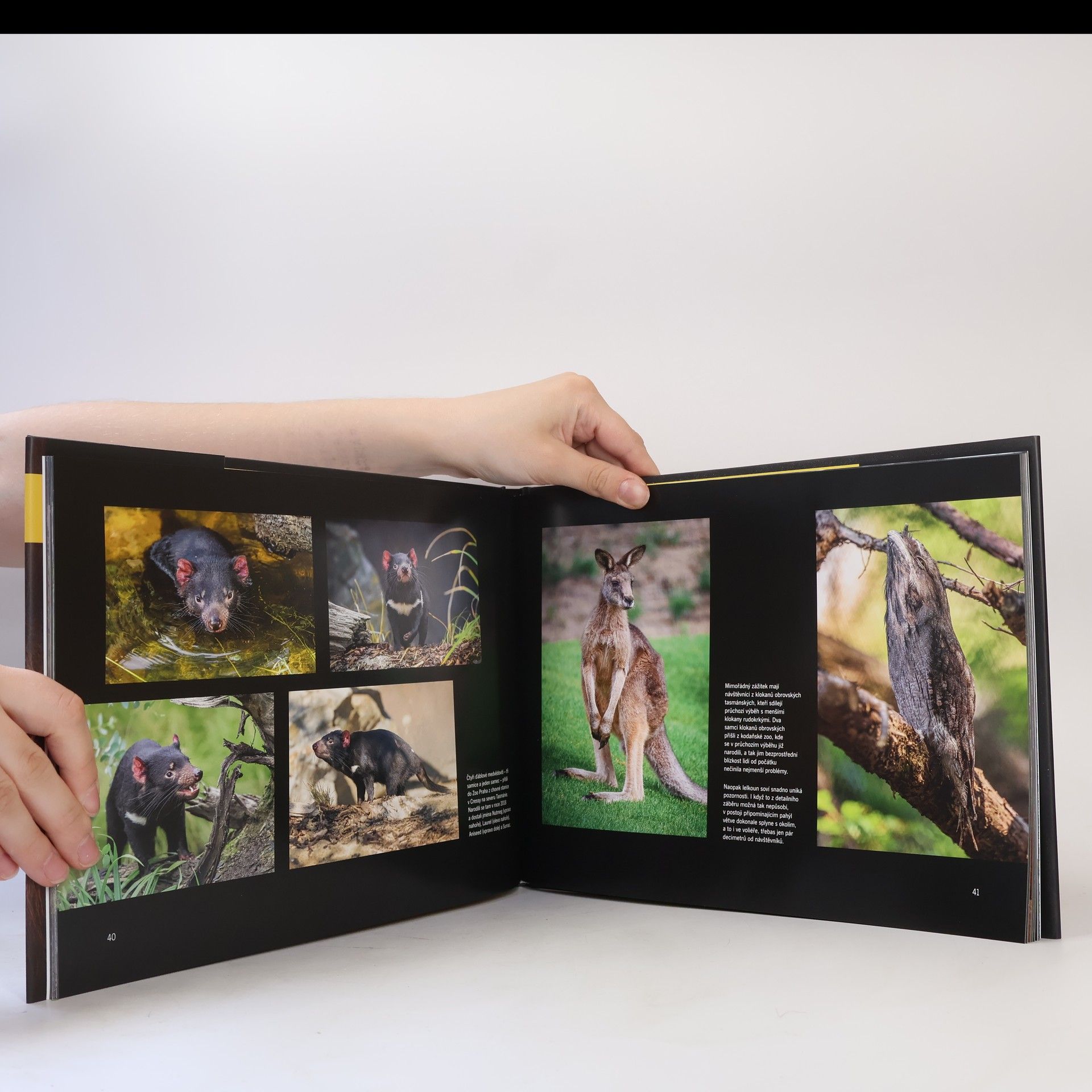 Miroslav Bobek Ztichlá zoo: Co jste kvůli pandemii neviděli