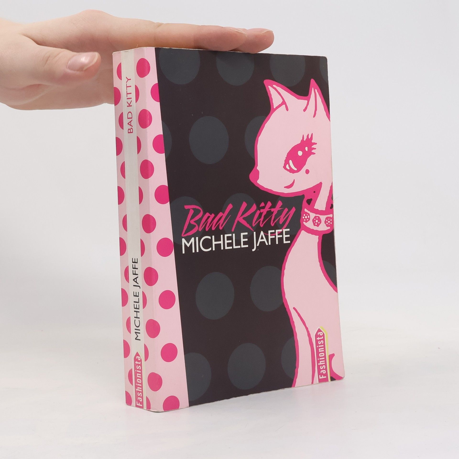 Michele Jaffe Bad Kitty