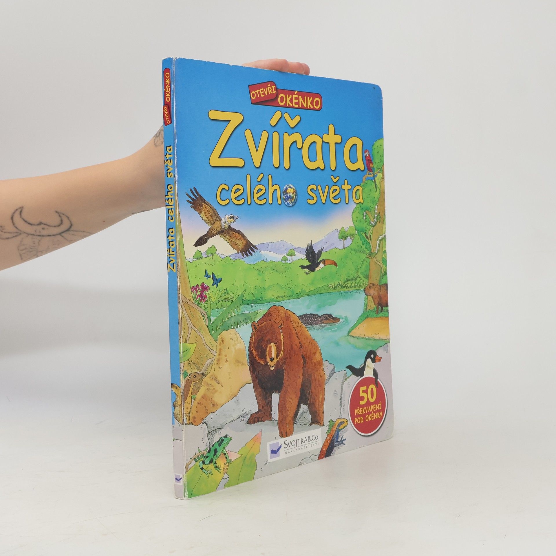 Autorenkollektiv Zvířata celého světa