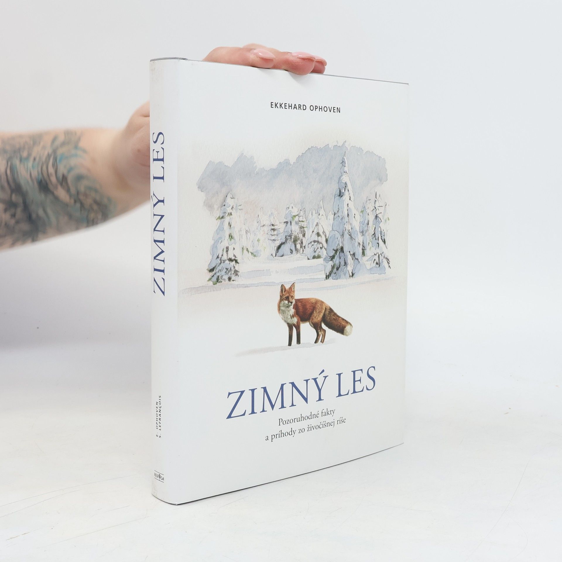 Ekkehard Ophoven Zimný les