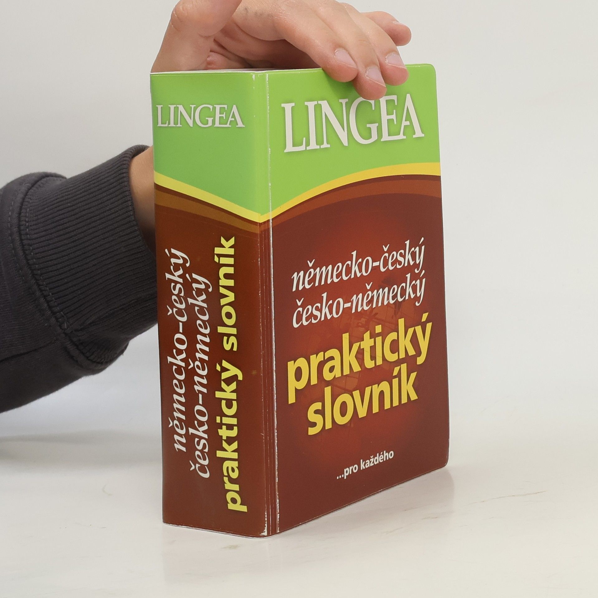 Autorenkollektiv Německo-český, česko-německý praktický slovník