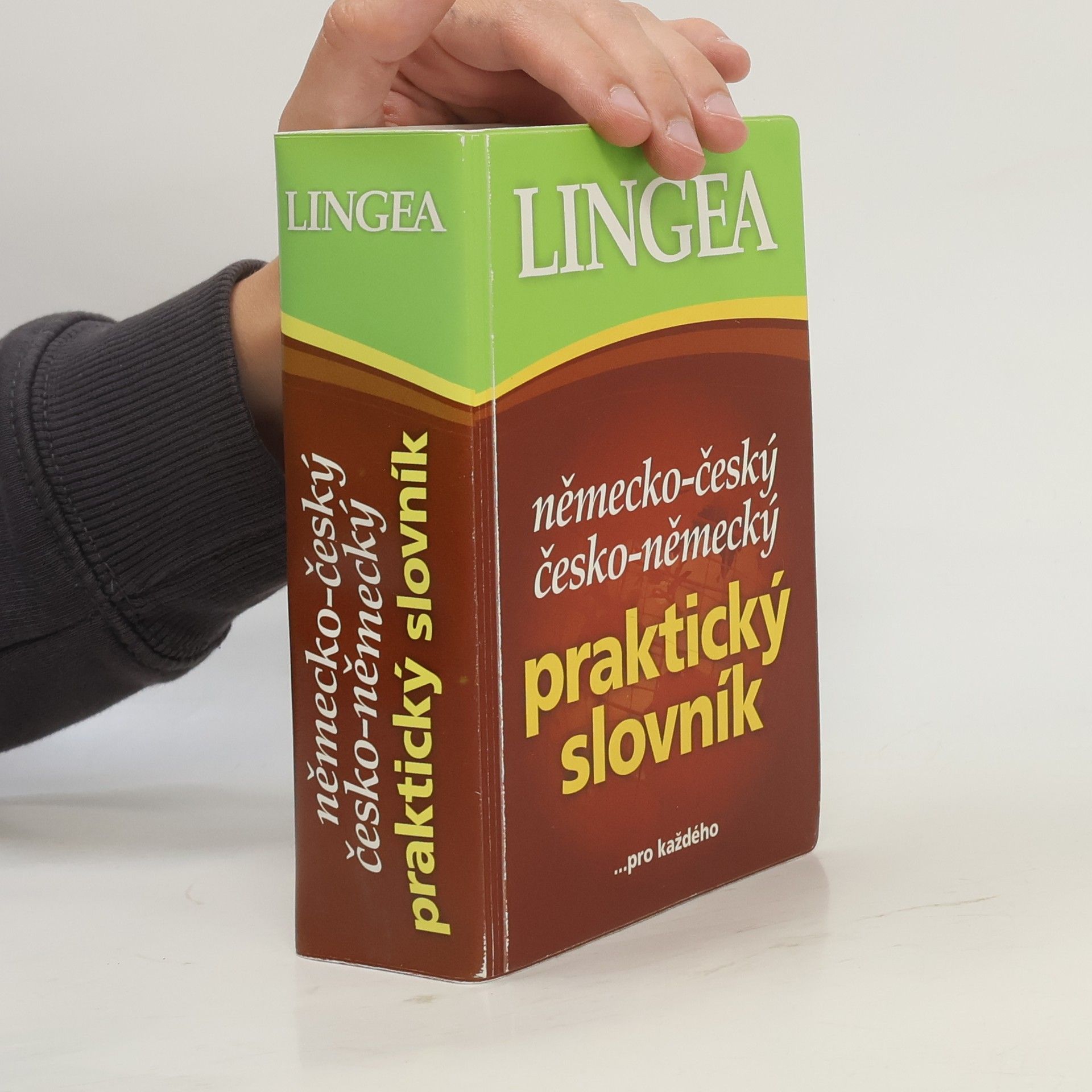 Autorenkollektiv Německo-český, česko-německý praktický slovník