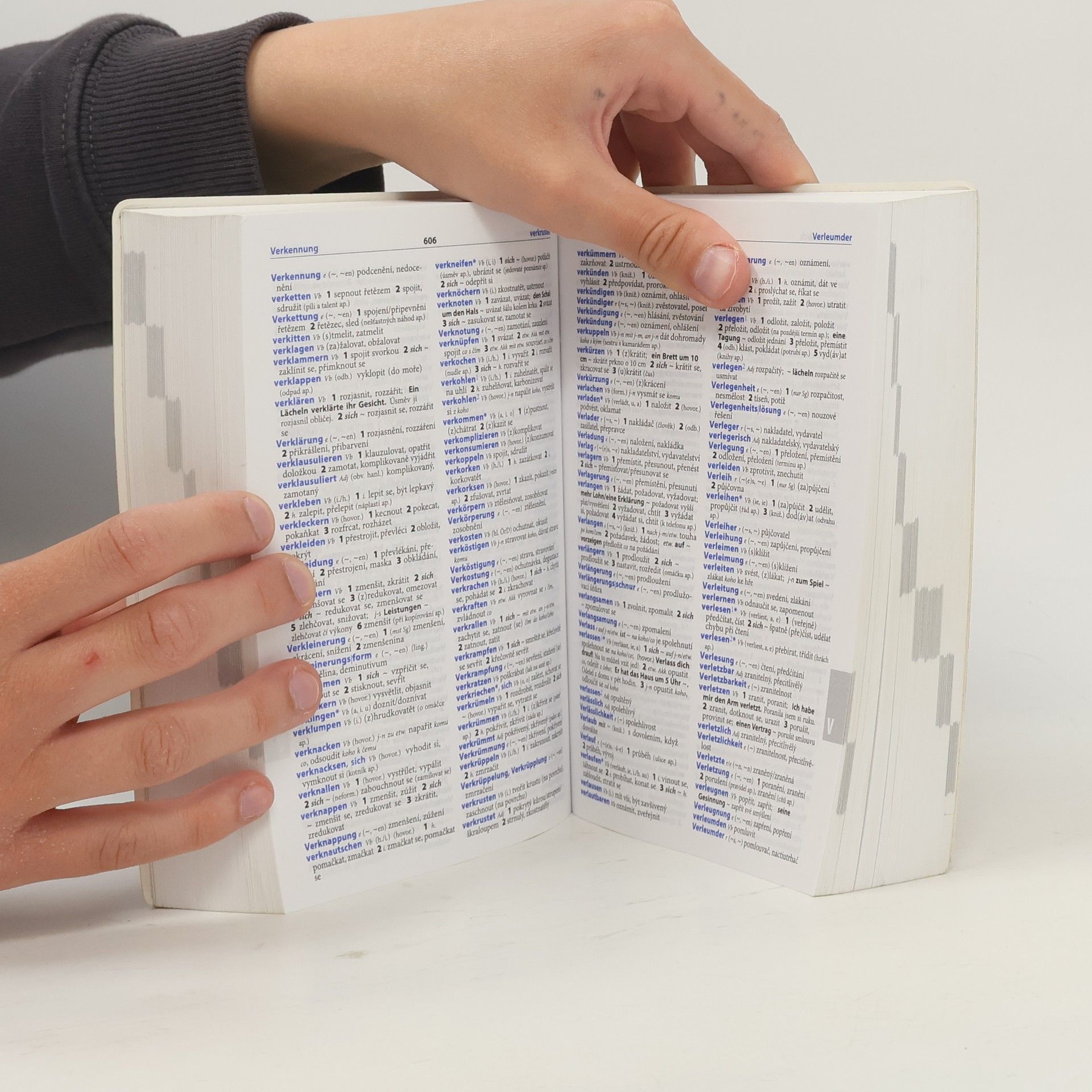 Autorenkollektiv Německo-český, česko-německý praktický slovník