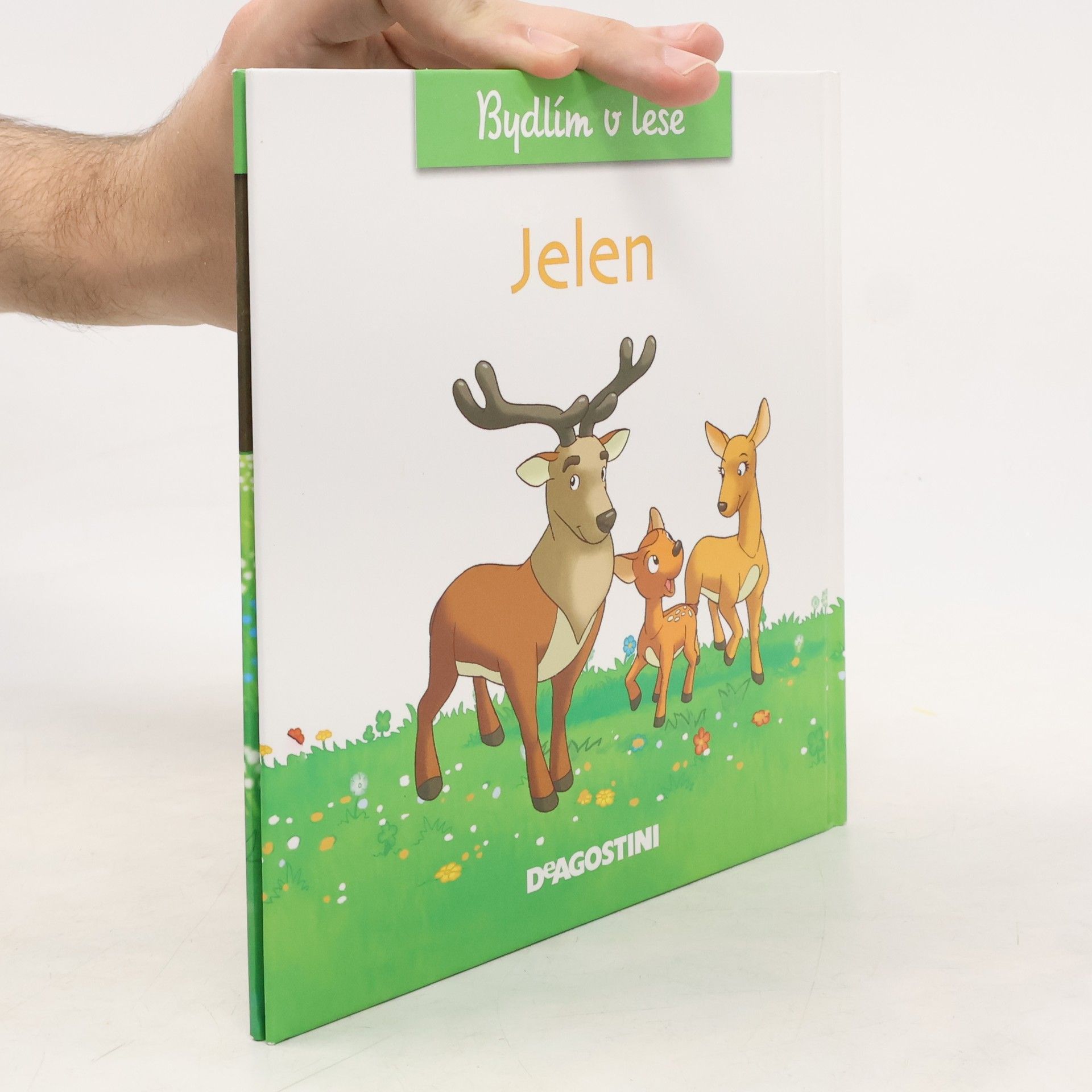 Autorenkollektiv Bydlím v lese. Jelen