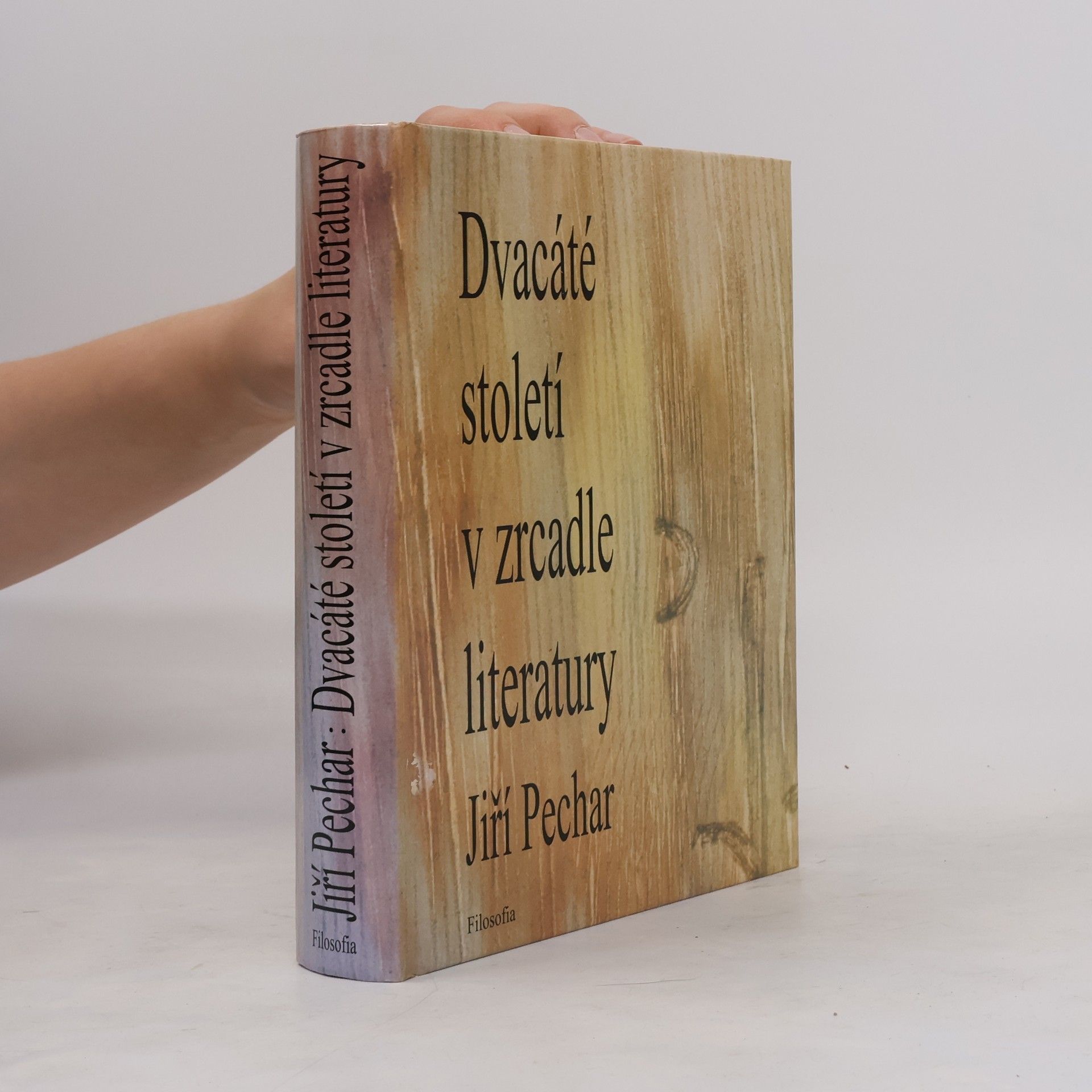 Jiří Pechar Dvacáté století v zrcadle literatury