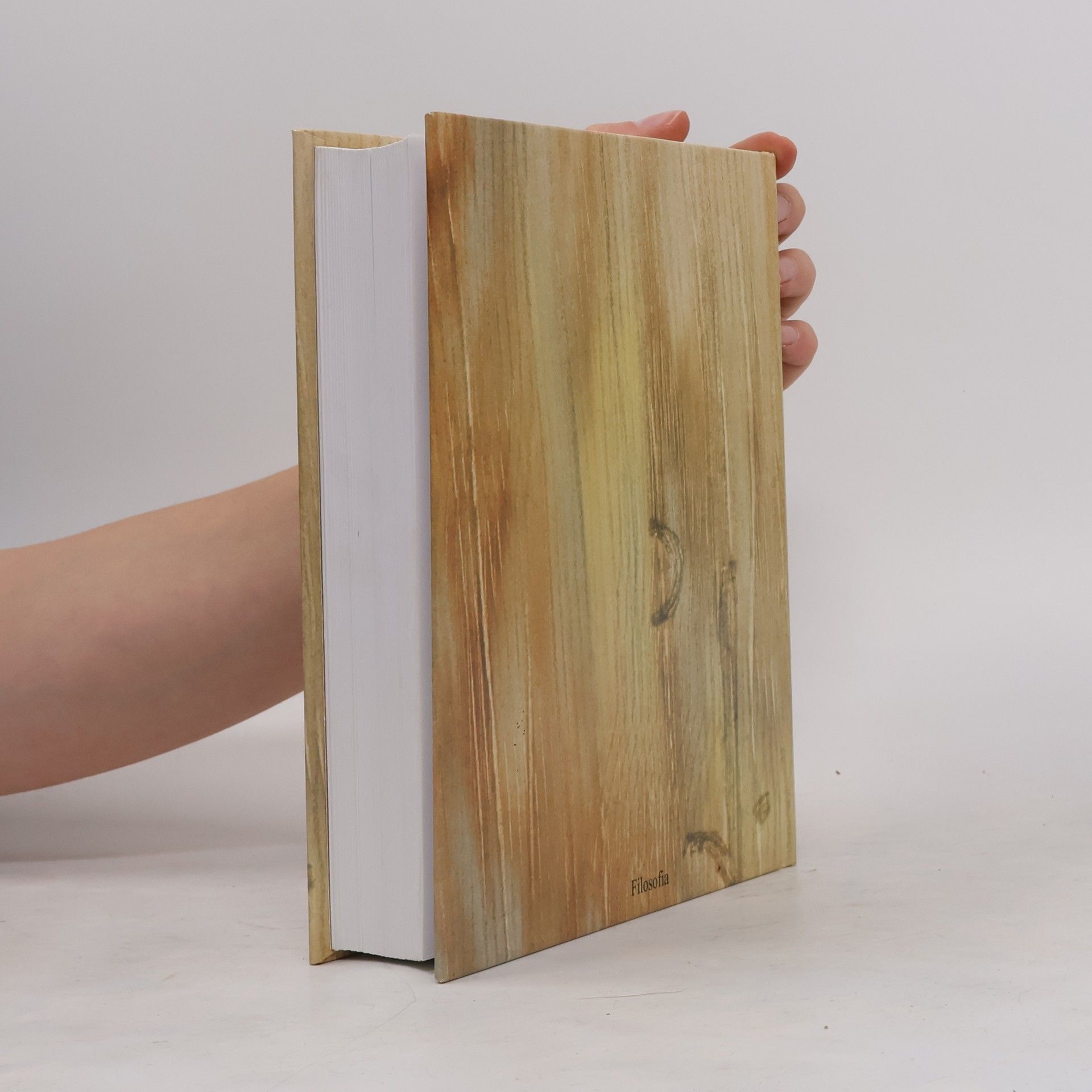 Jiří Pechar Dvacáté století v zrcadle literatury