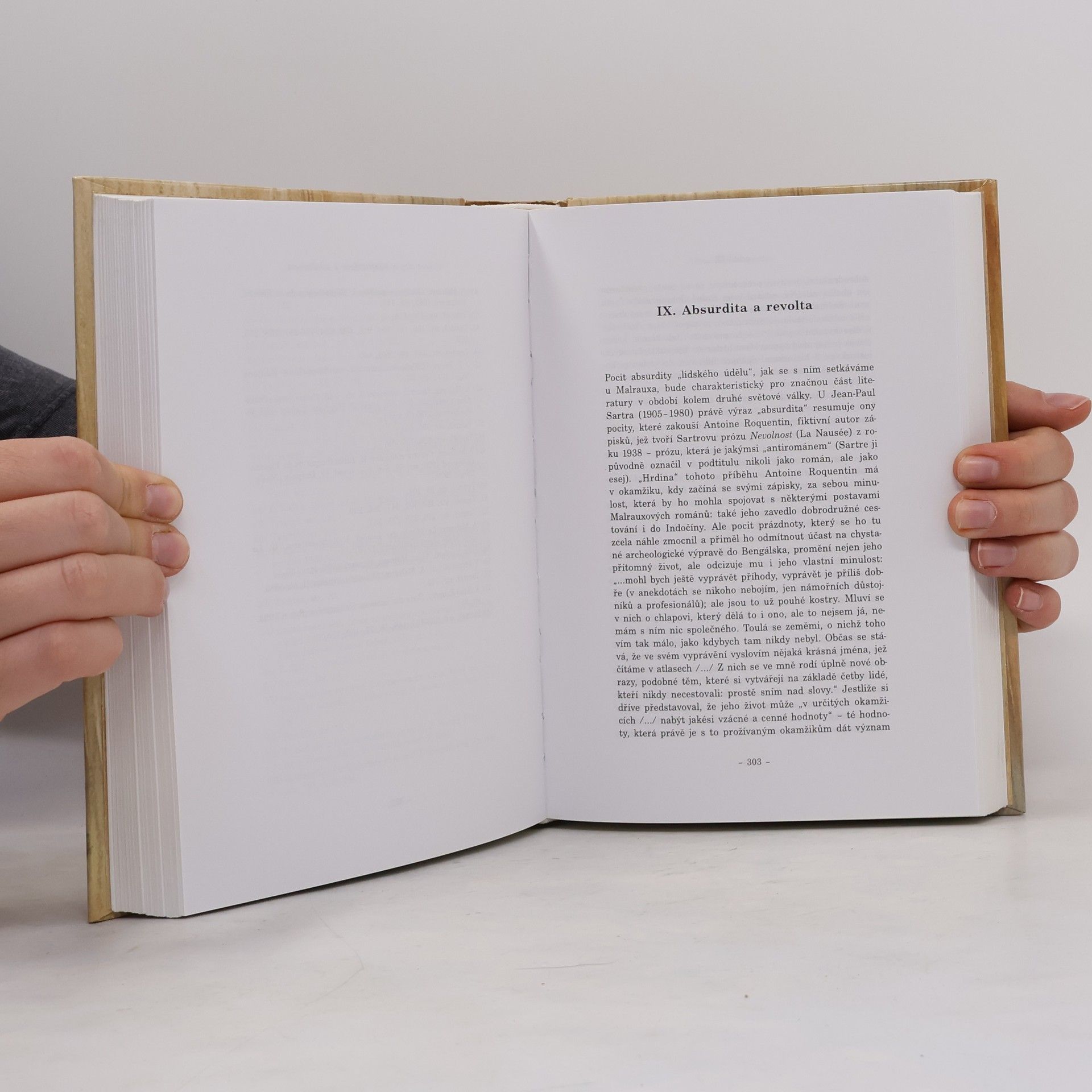 Jiří Pechar Dvacáté století v zrcadle literatury