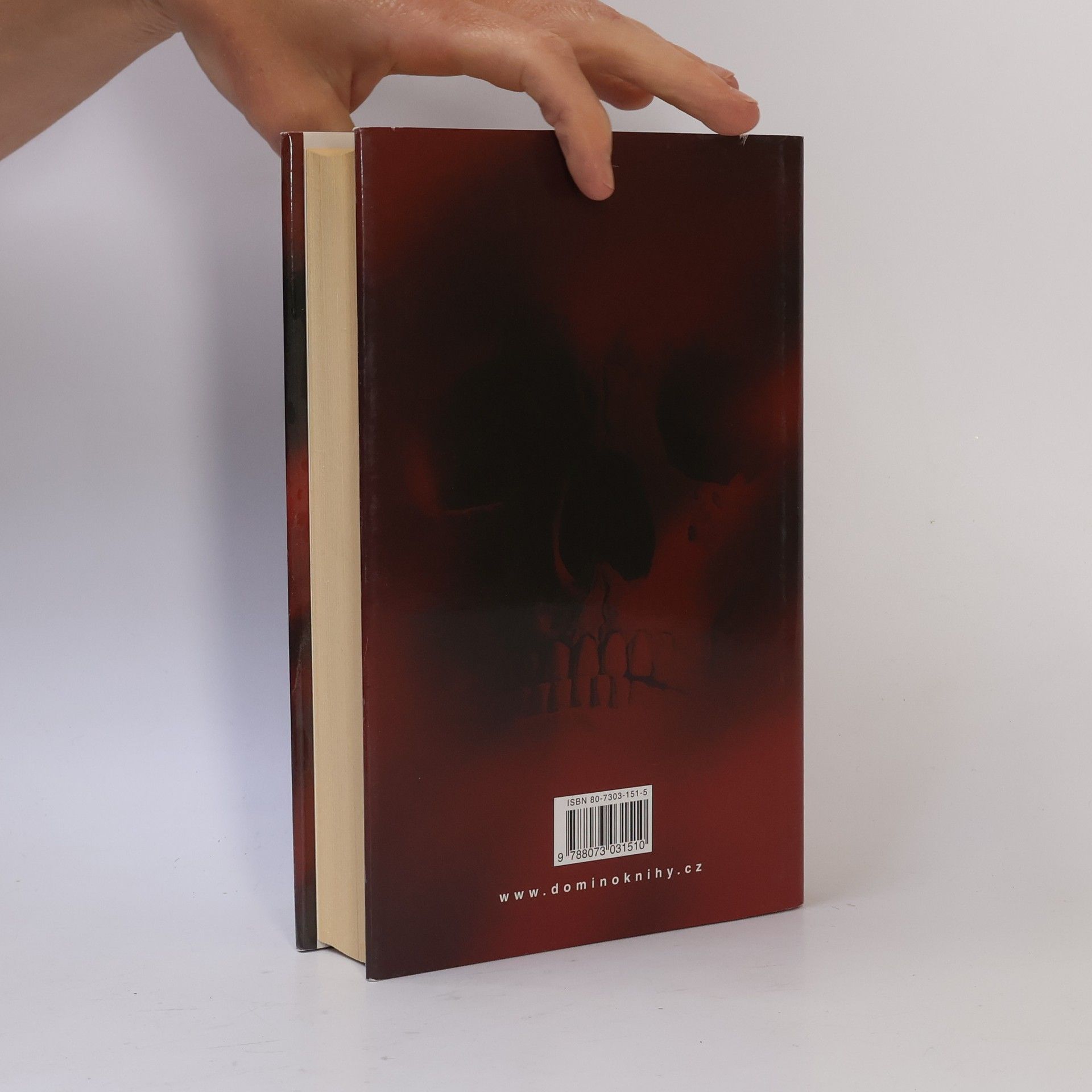 Jeffery Deaver Iluze