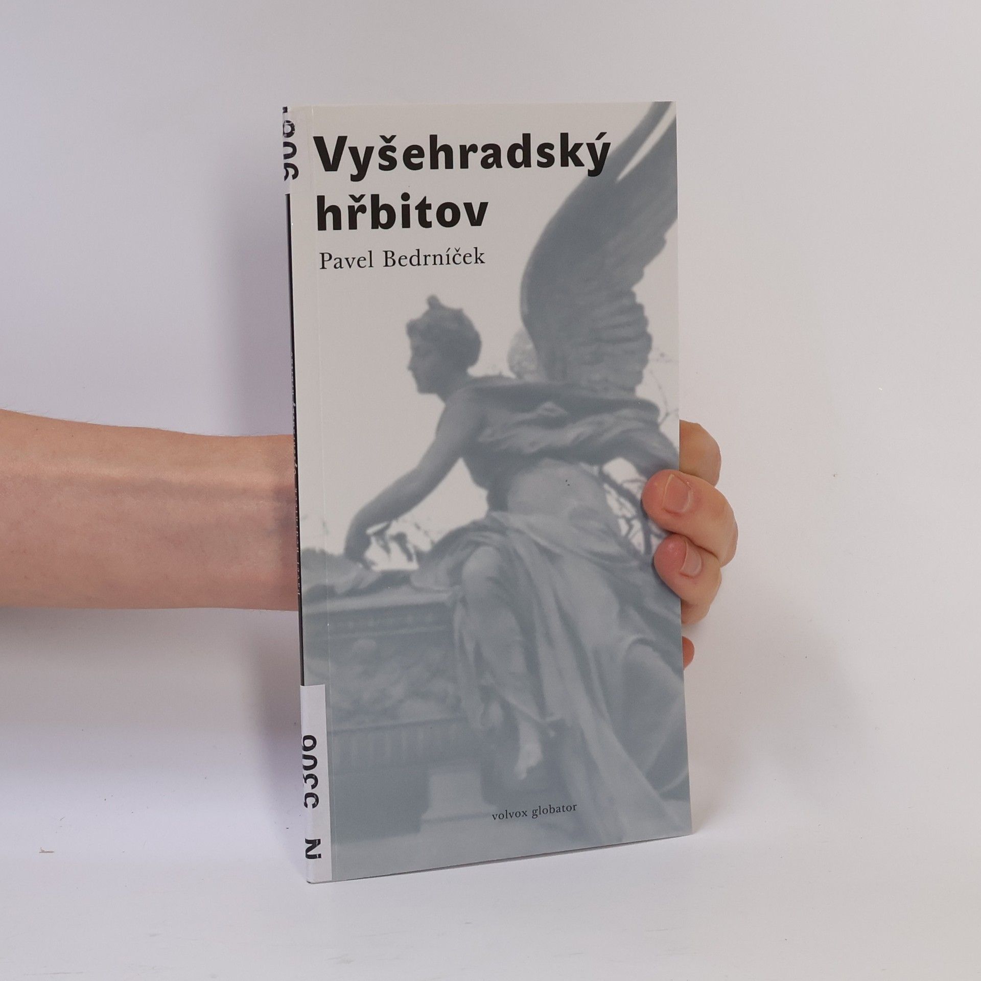 Pavel Bedrníček Vyšehradský hřbitov