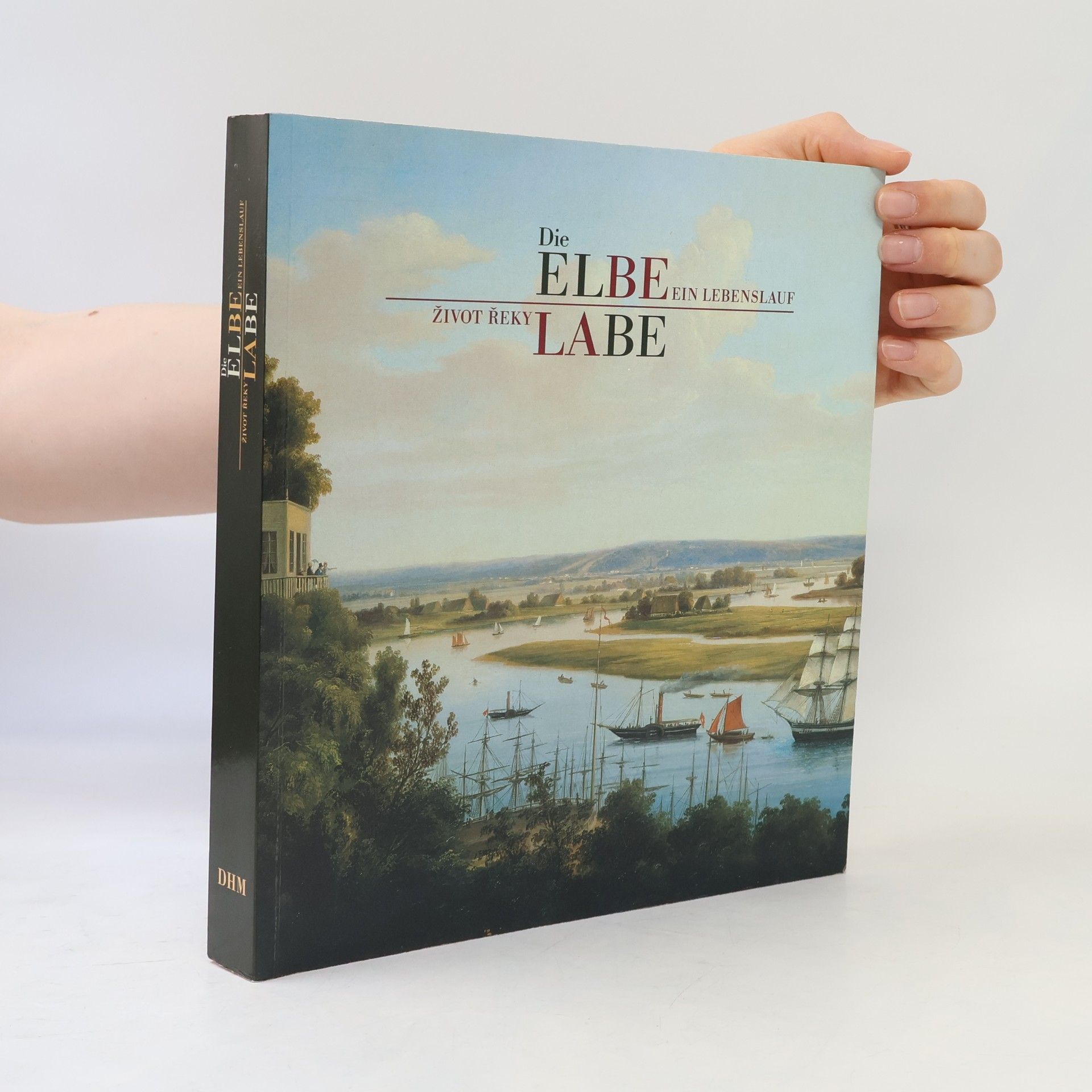Gesine Asmus Die Elbe