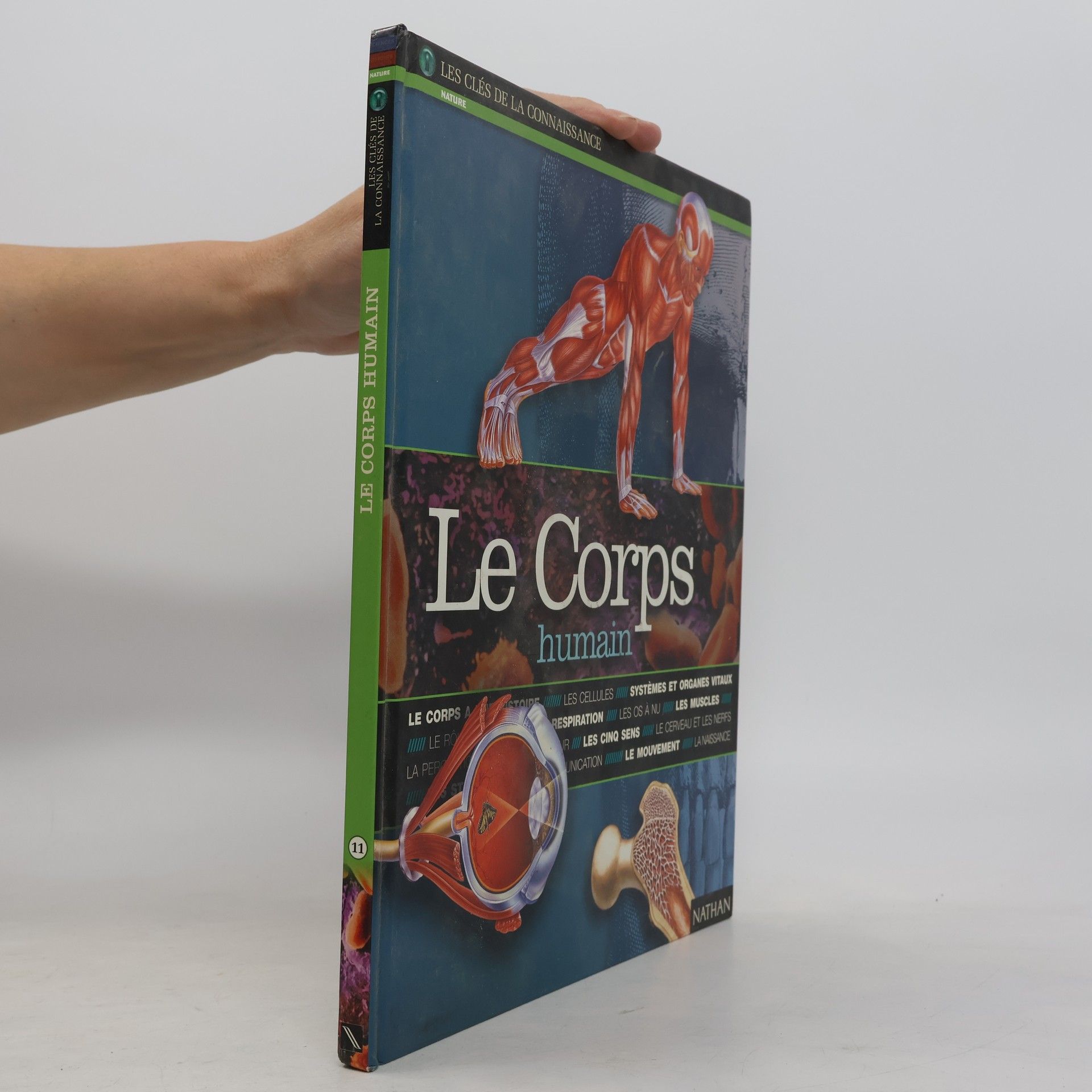 Véronique Dreyfus Le corps humain