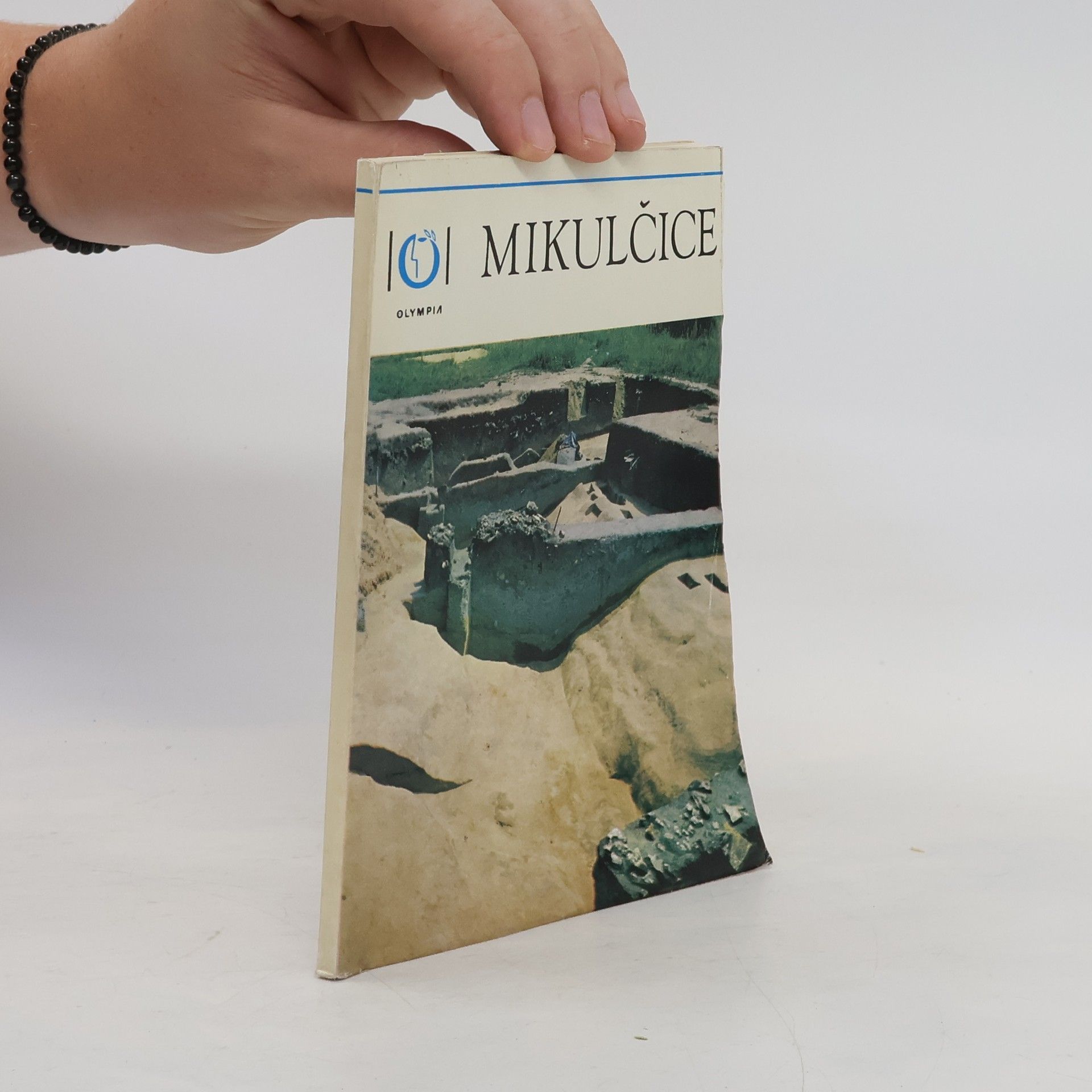 Kolektiv autorů Mikulčice