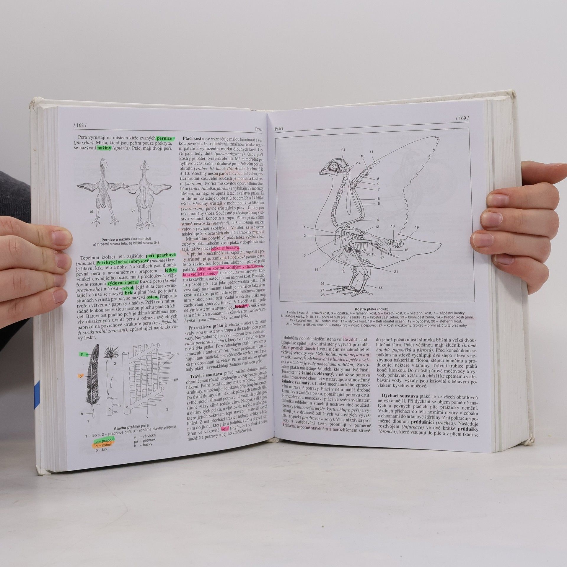 Jan Jelínek Biologie pro gymnázia