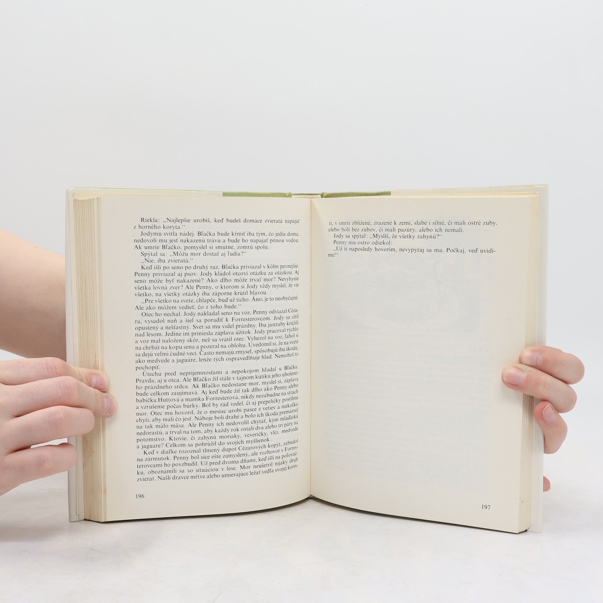 Marjorie Kinnan Rawlings Dieťa divočiny