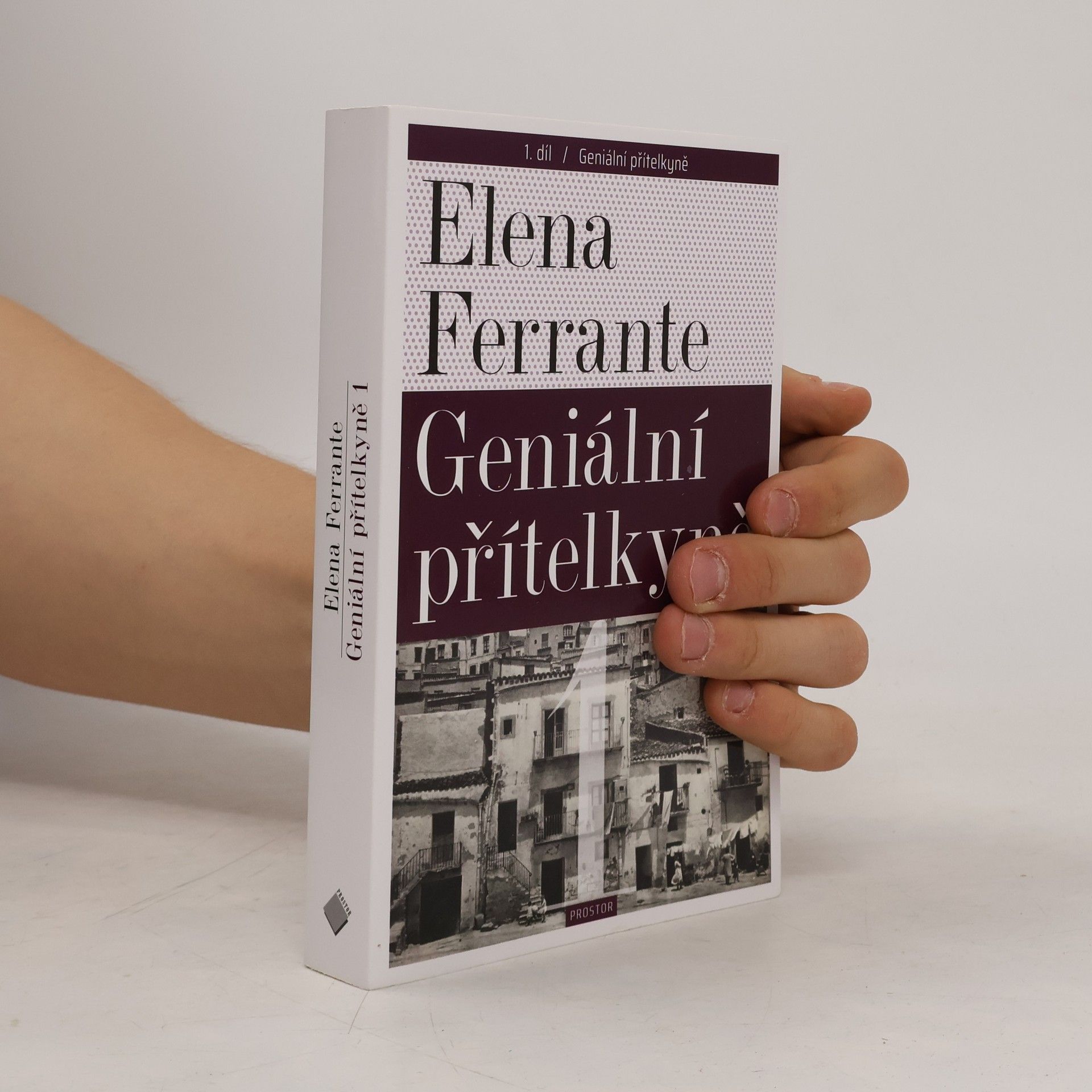Elena Ferrante Geniální přítelkyně 1. Dětství a dospívání