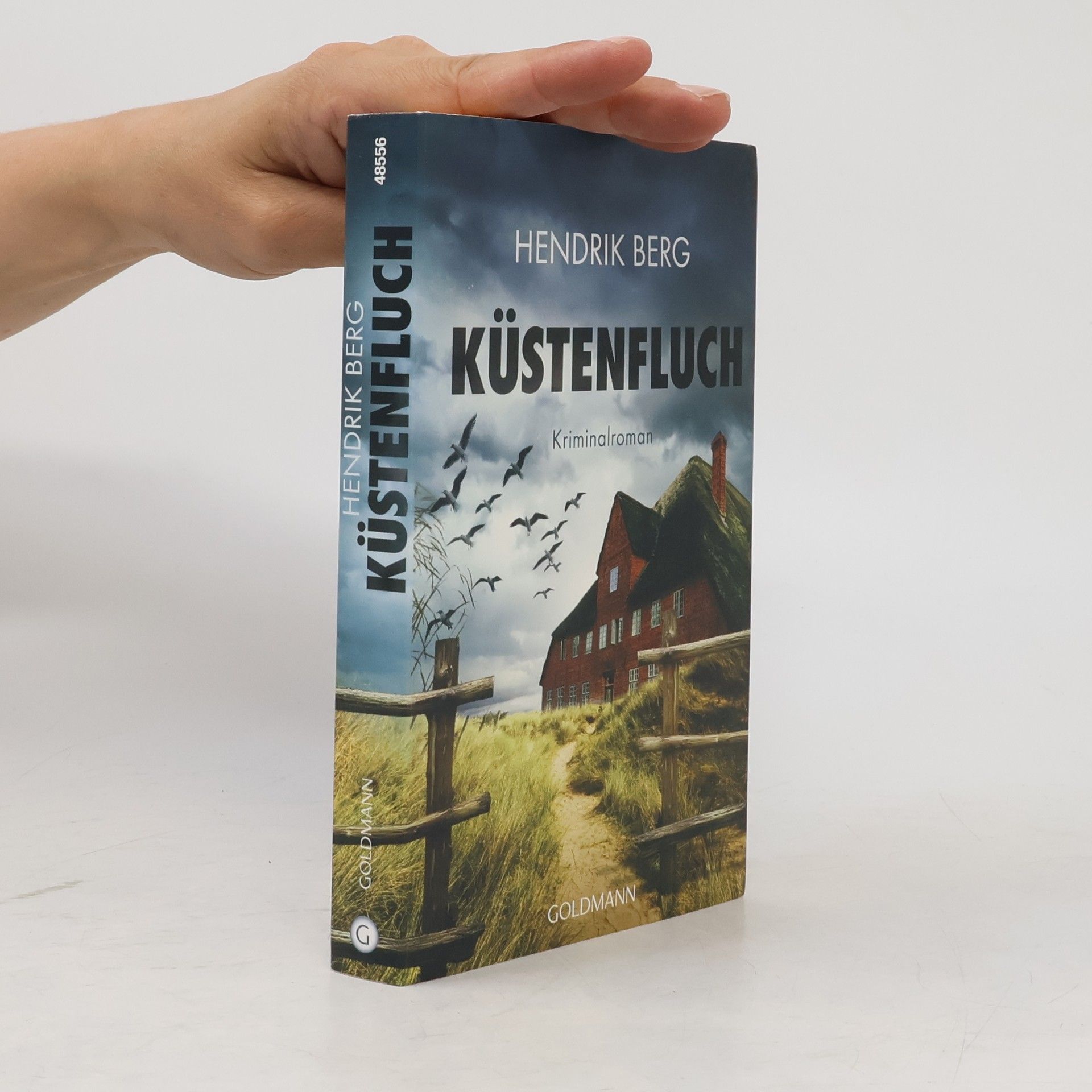 Hendrik Berg Küstenfluch
