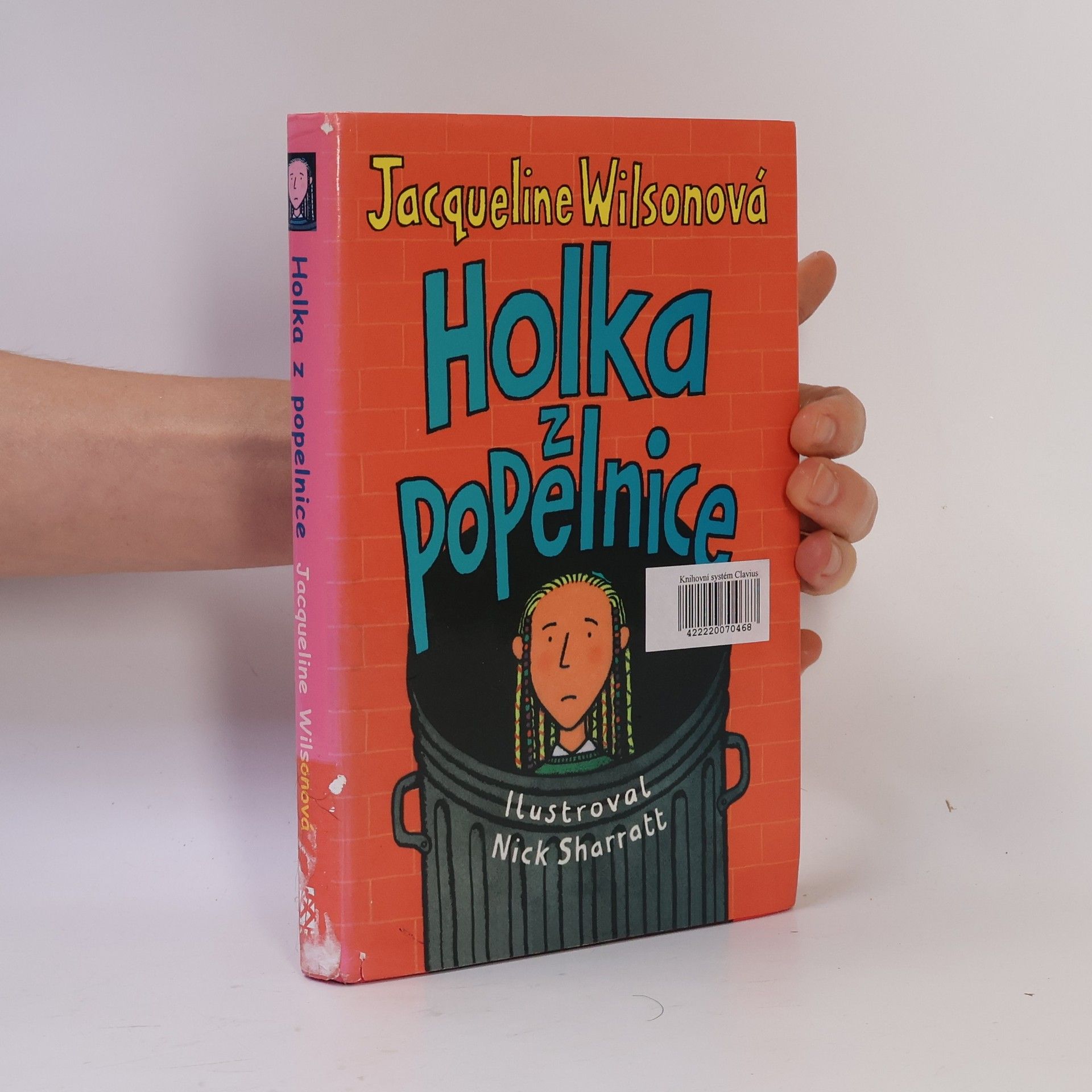 Jacqueline Wilson Holka z popelnice
