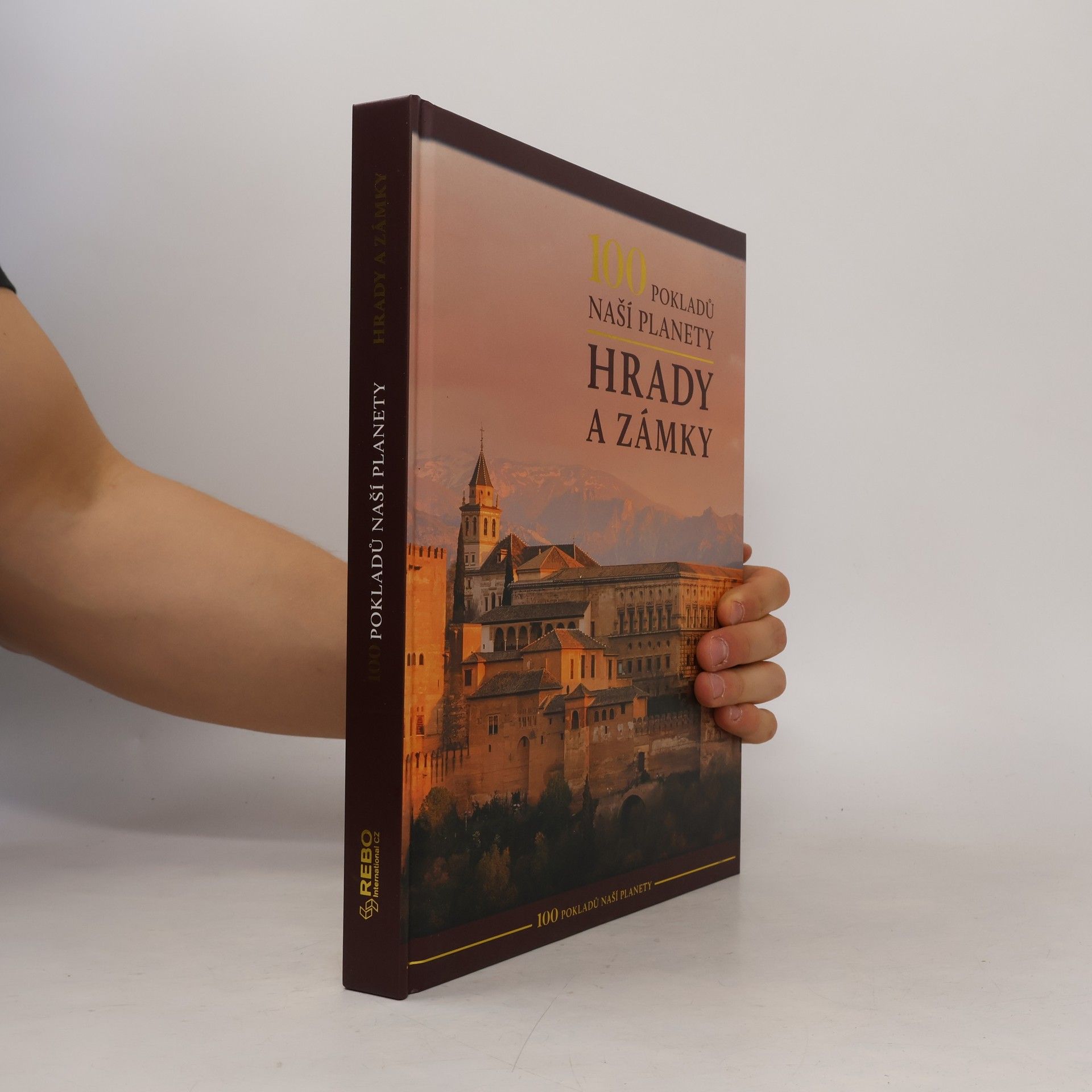 Autorenkollektiv 100 pokladů naší planety. Hrady a zámky