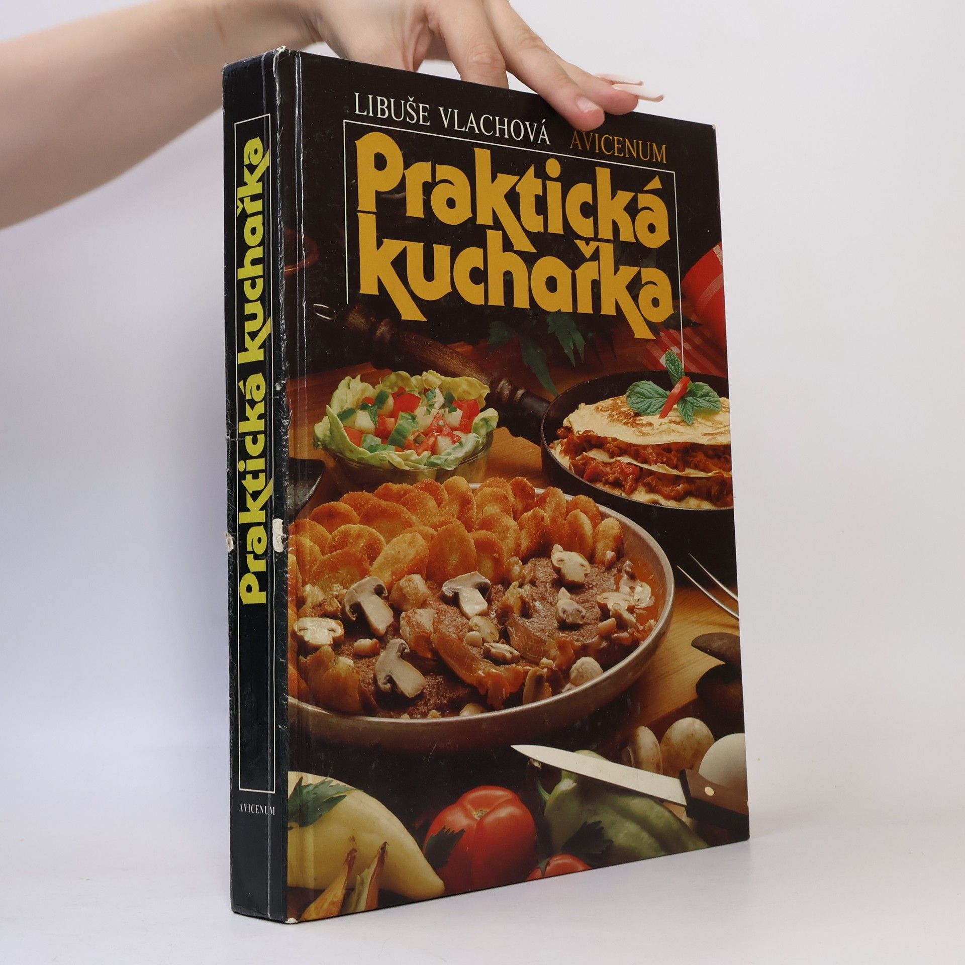 Libuše Vlachová Praktická kuchařka