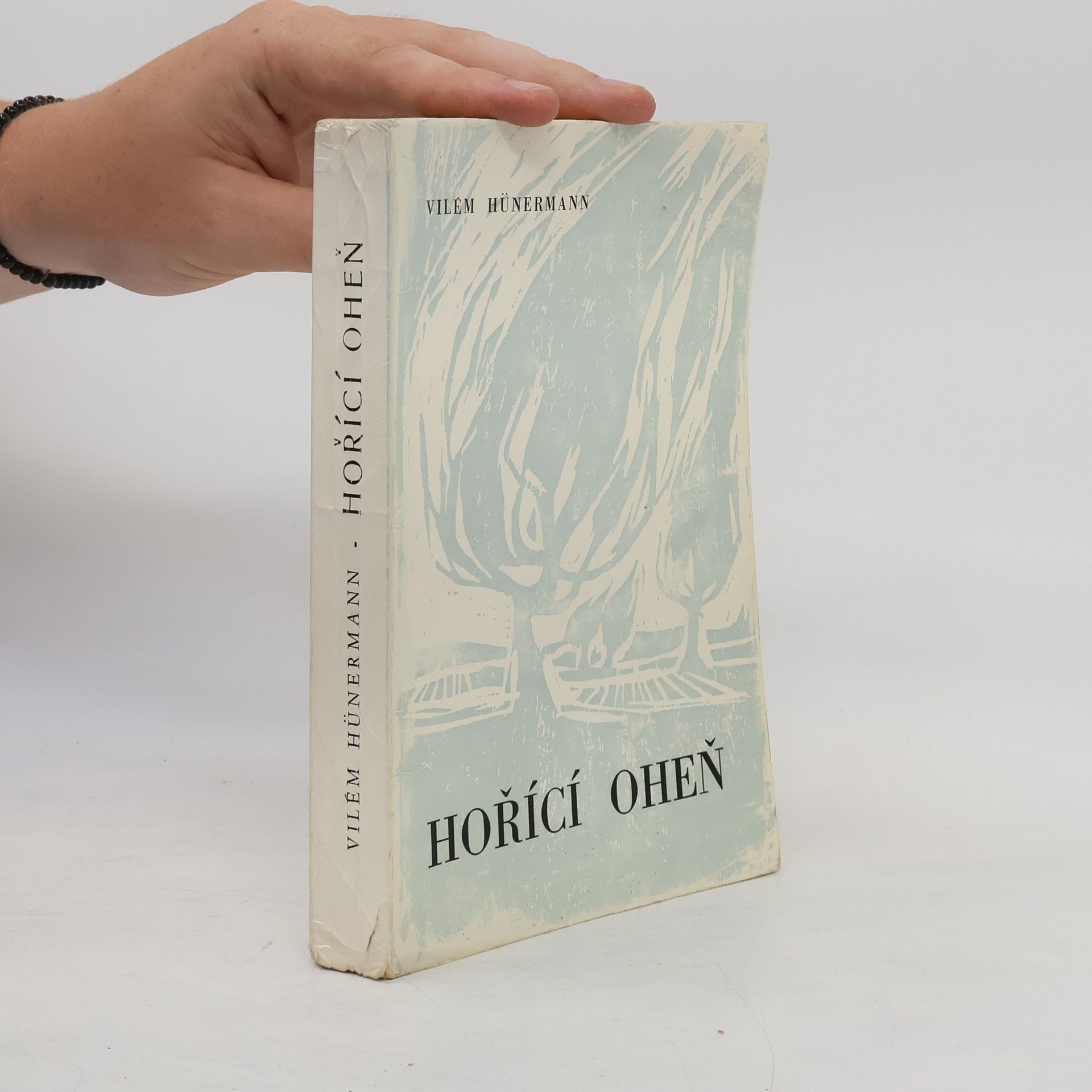 Jiřina GantnerováFrejlachová Hořící oheň : papež Pius X.