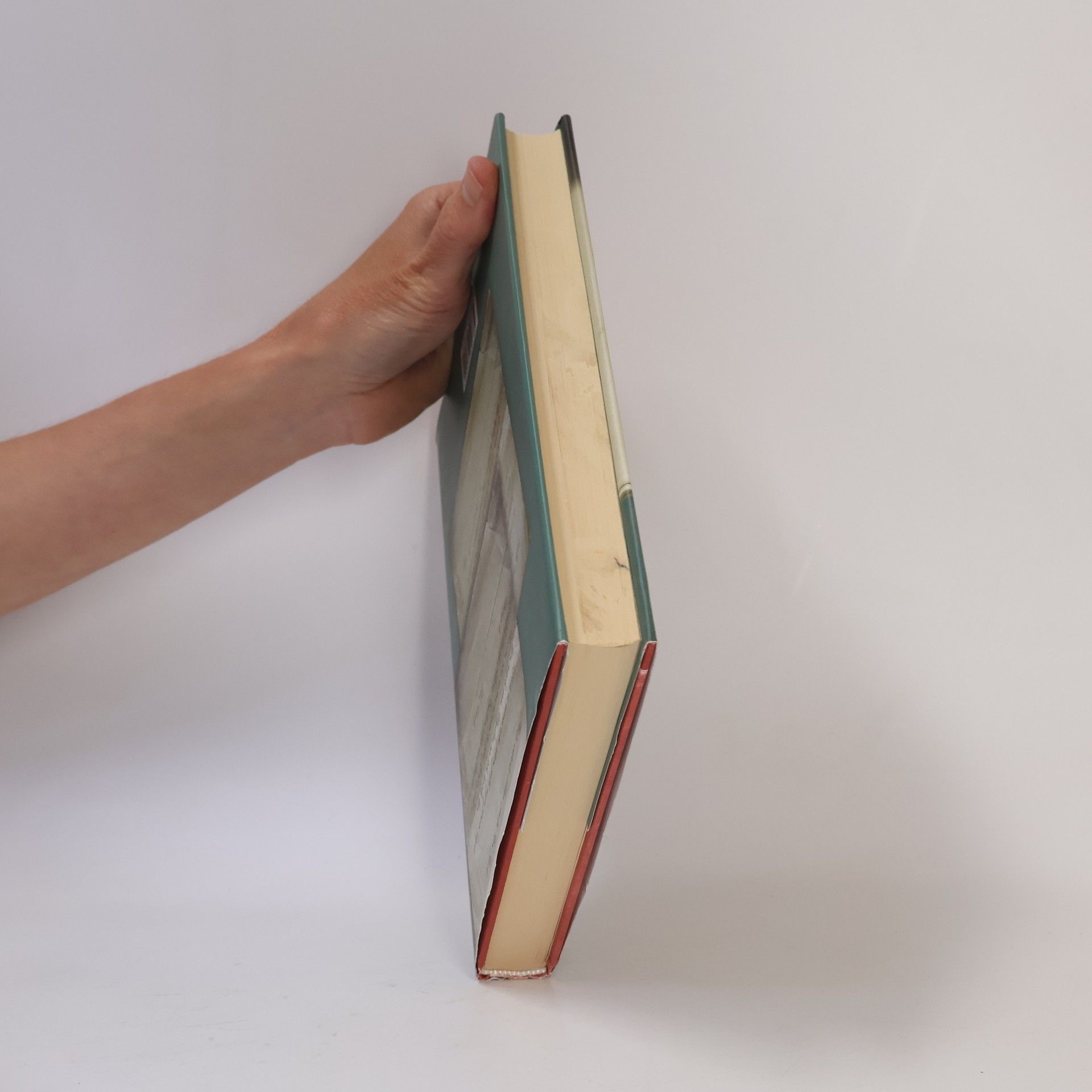 Sofia Lundberg Červený adresář