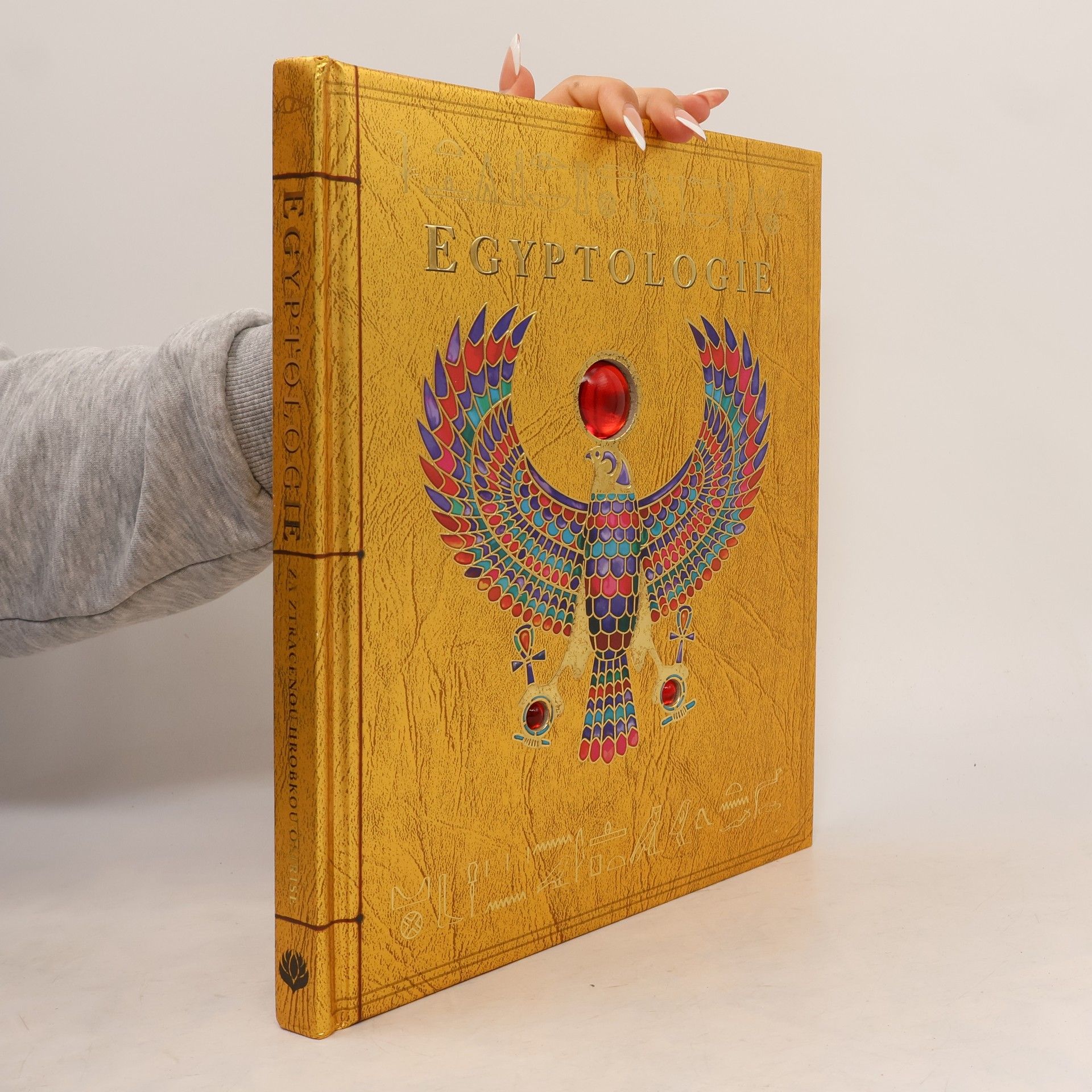 Emily Sands Egyptologie: Za ztracenou hrobkou Osirise