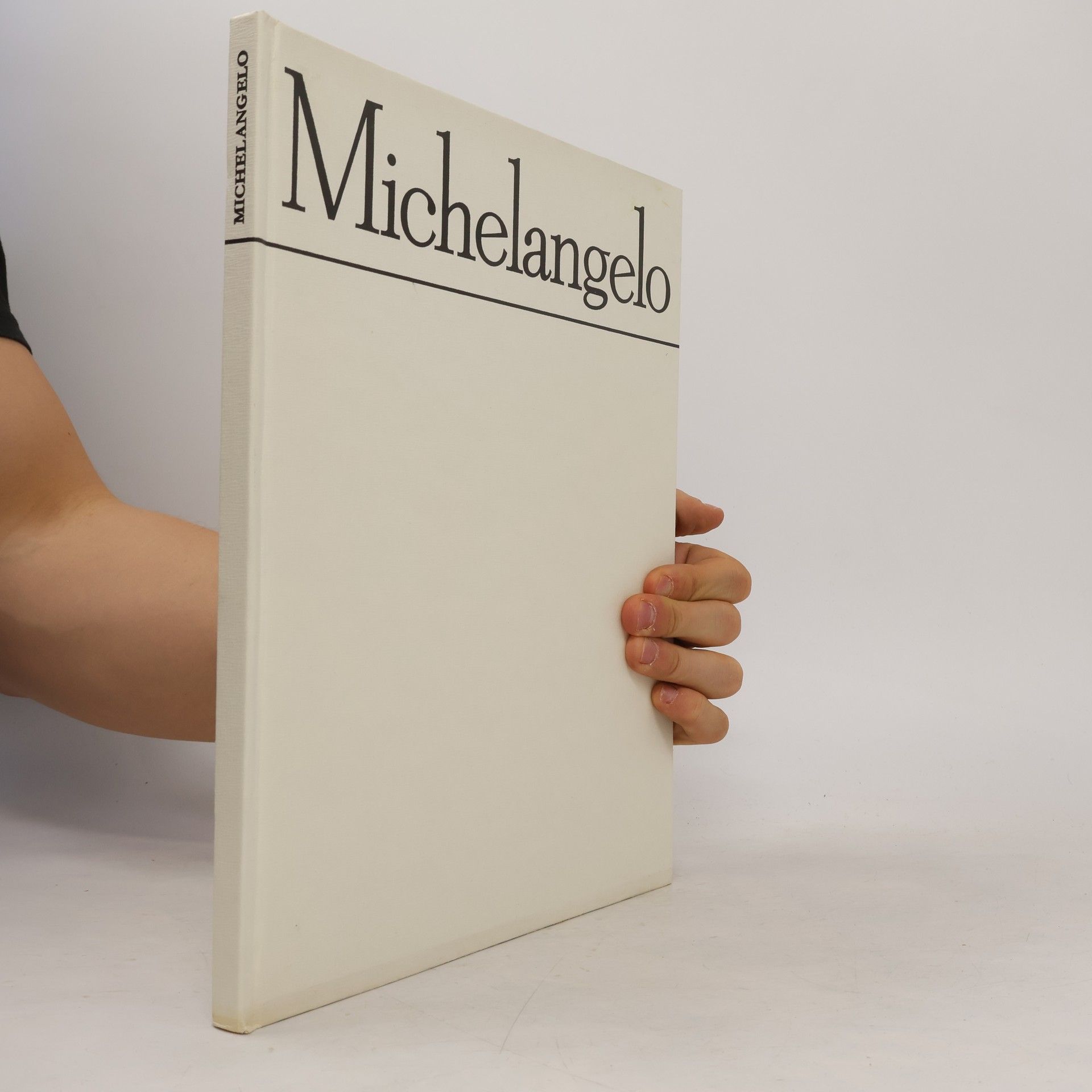 Kolektiv autorů Michelangelo